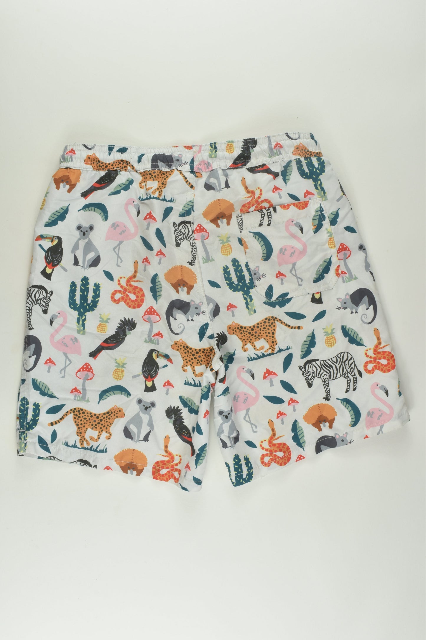 Kip & Co for Cotton On Kids Size 9-10 Board Shorts
