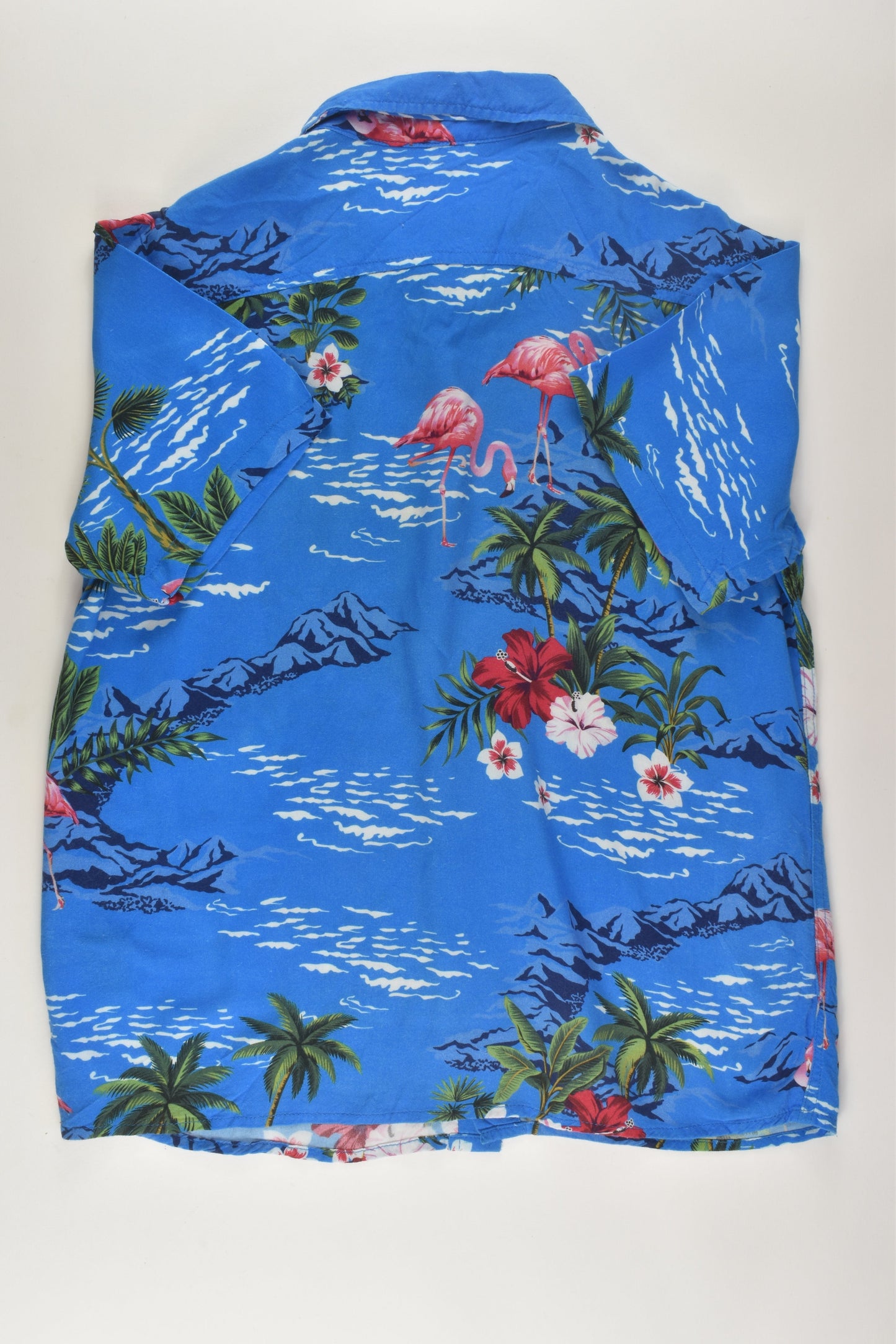 Lucid Size 14 Hawaii Shirt