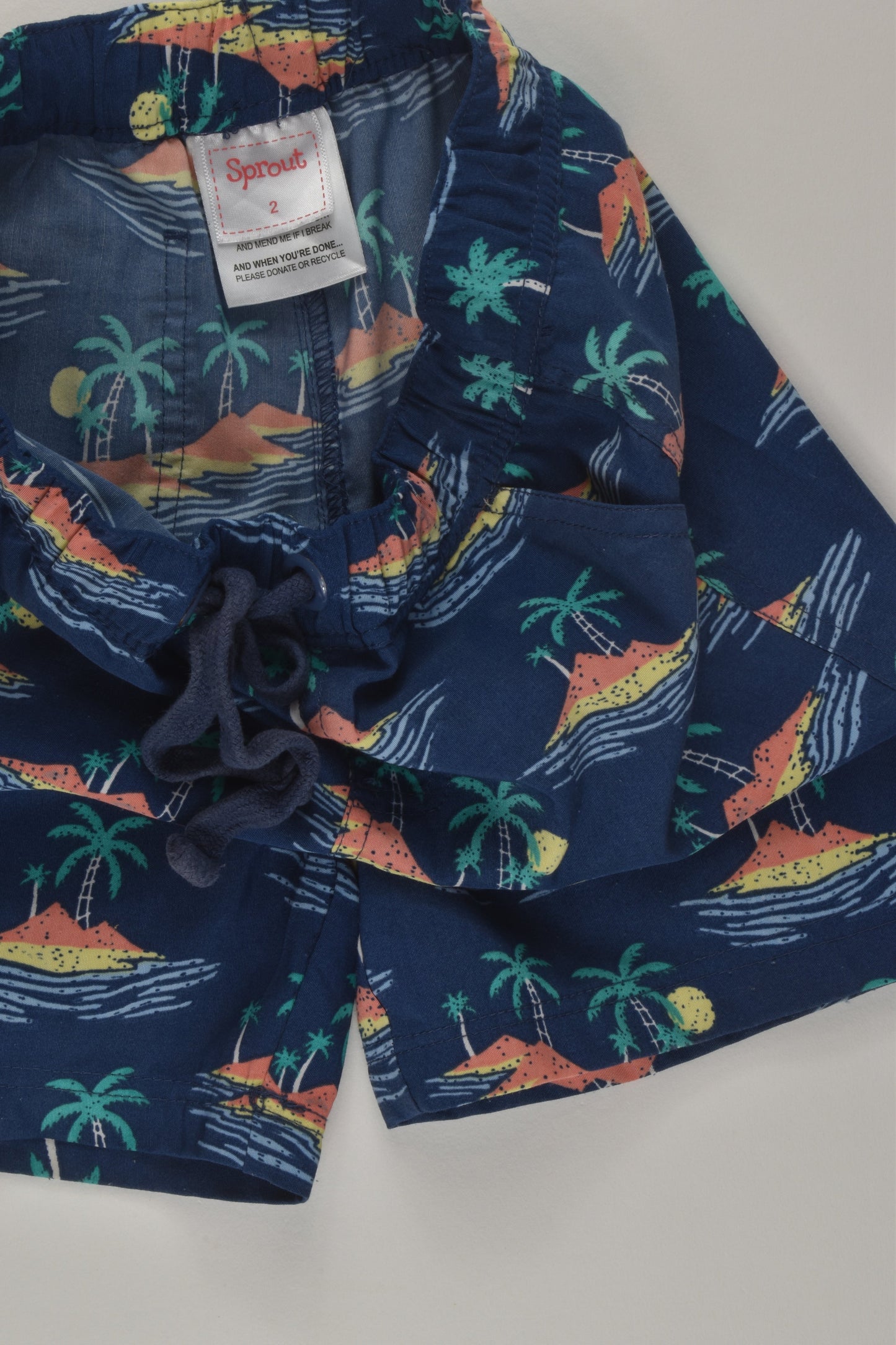 Milkshake Size 2 Board Shorts