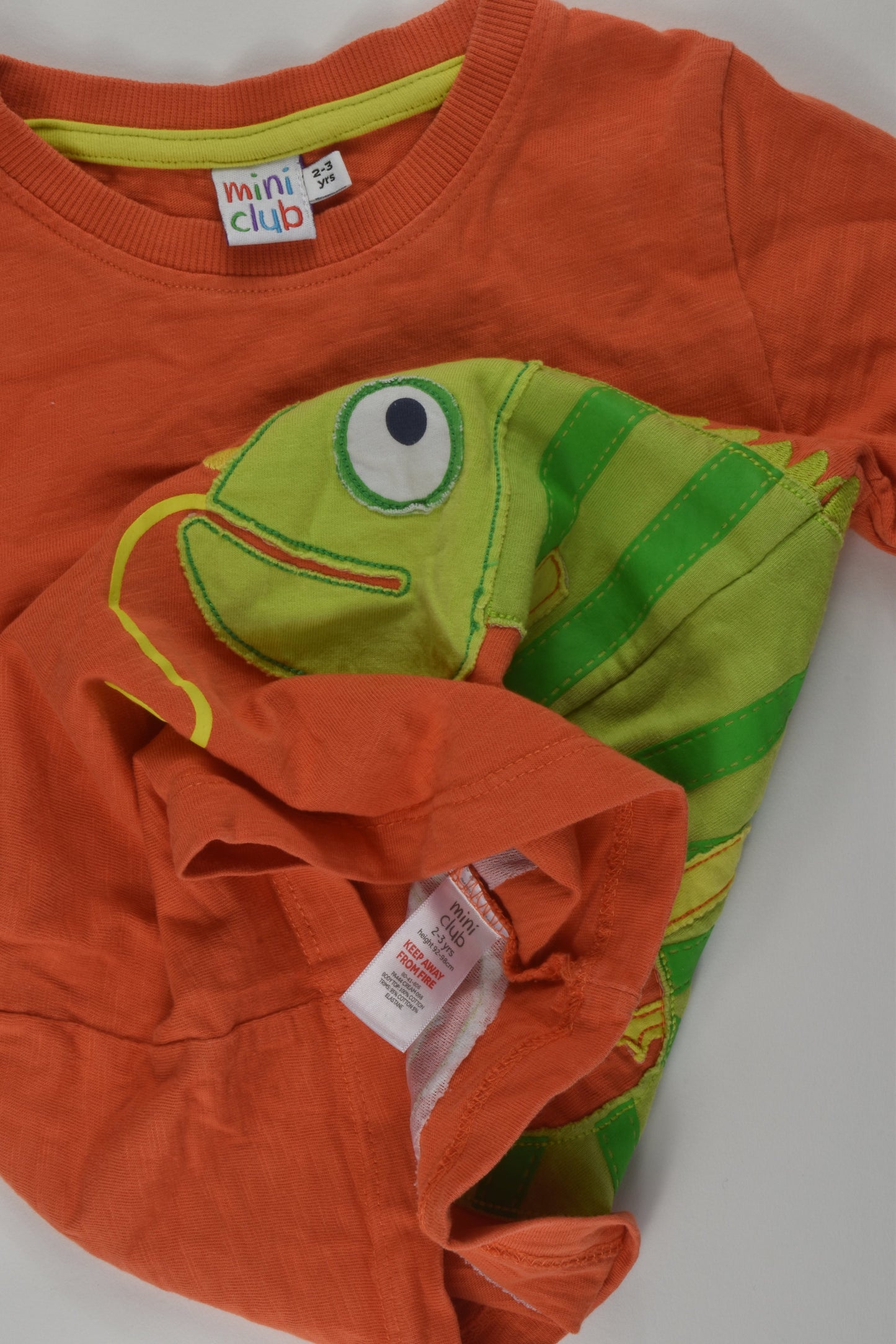 Mini Club Size 2-3 Chameleon T-shirt