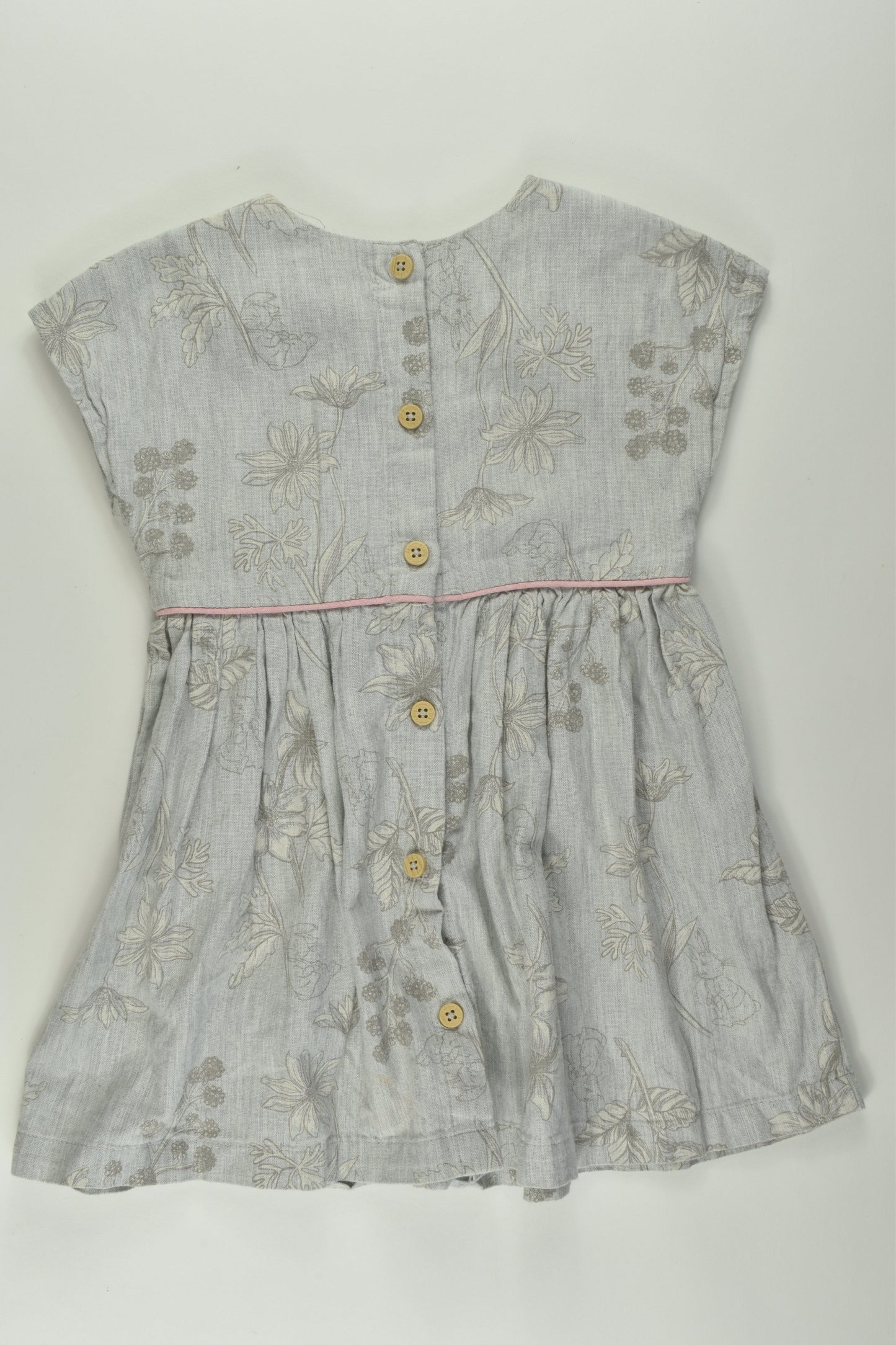 Peter Rabbit Size 2 Dress