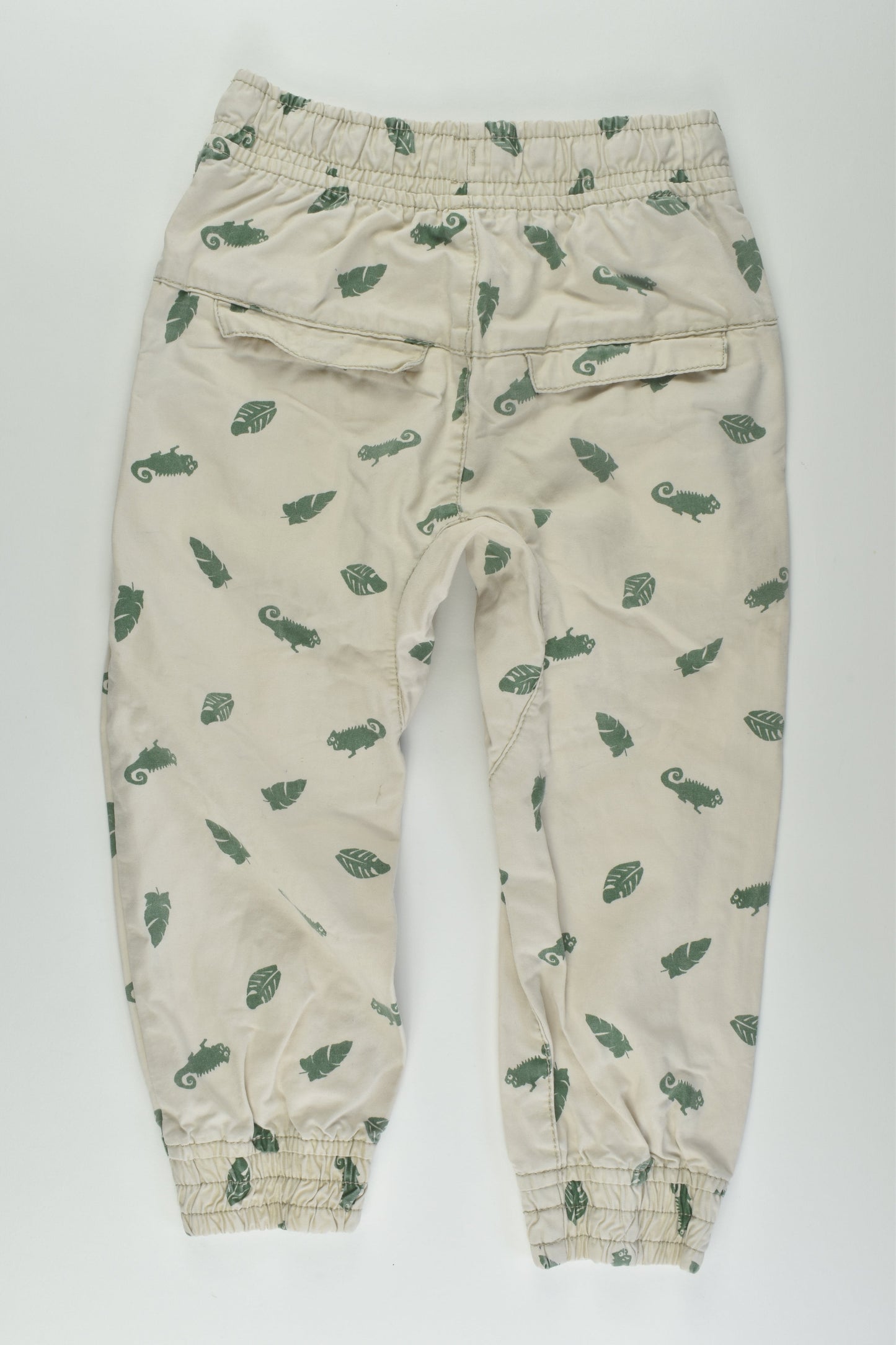 Pumpkin Patch Size 3 Chameleon Pants