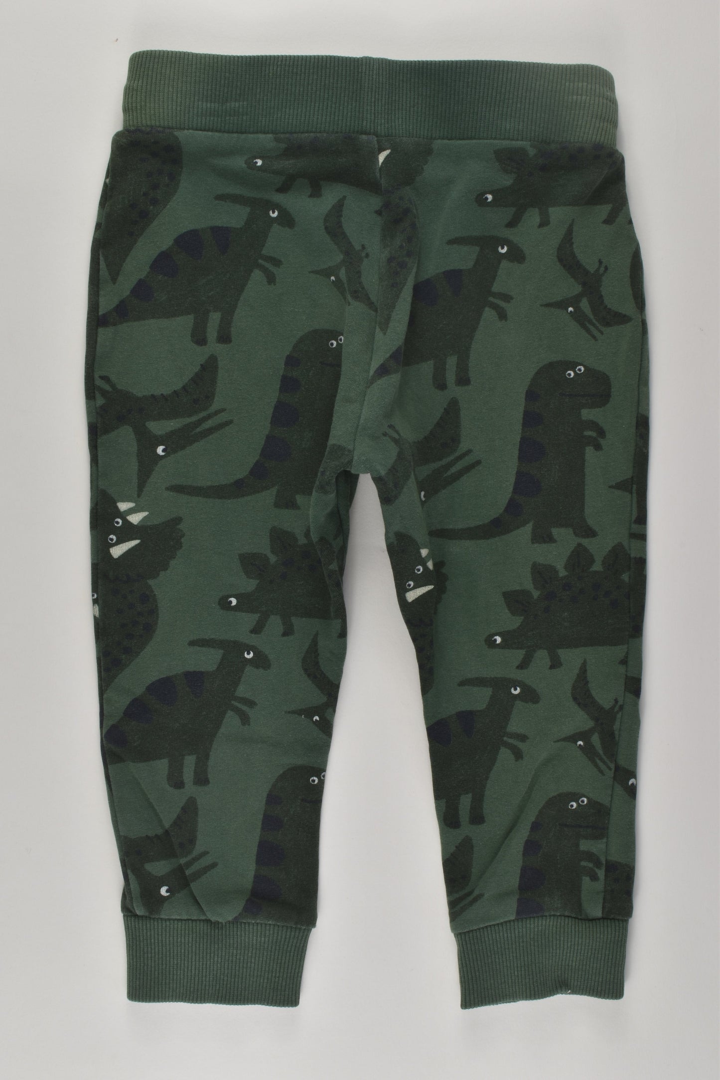 Target Size 1 Dinosaur Track Pants