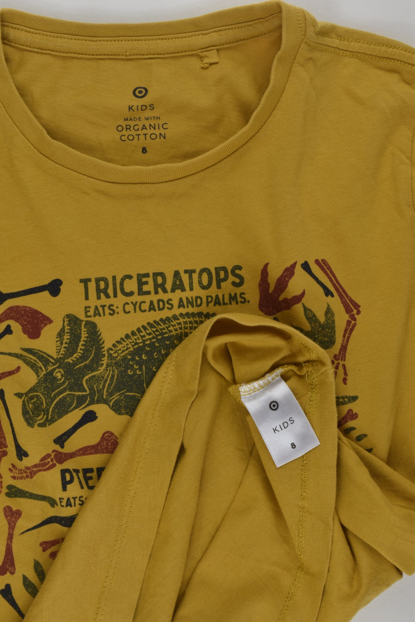 Target Size 8 Organic Dinosaur Top
