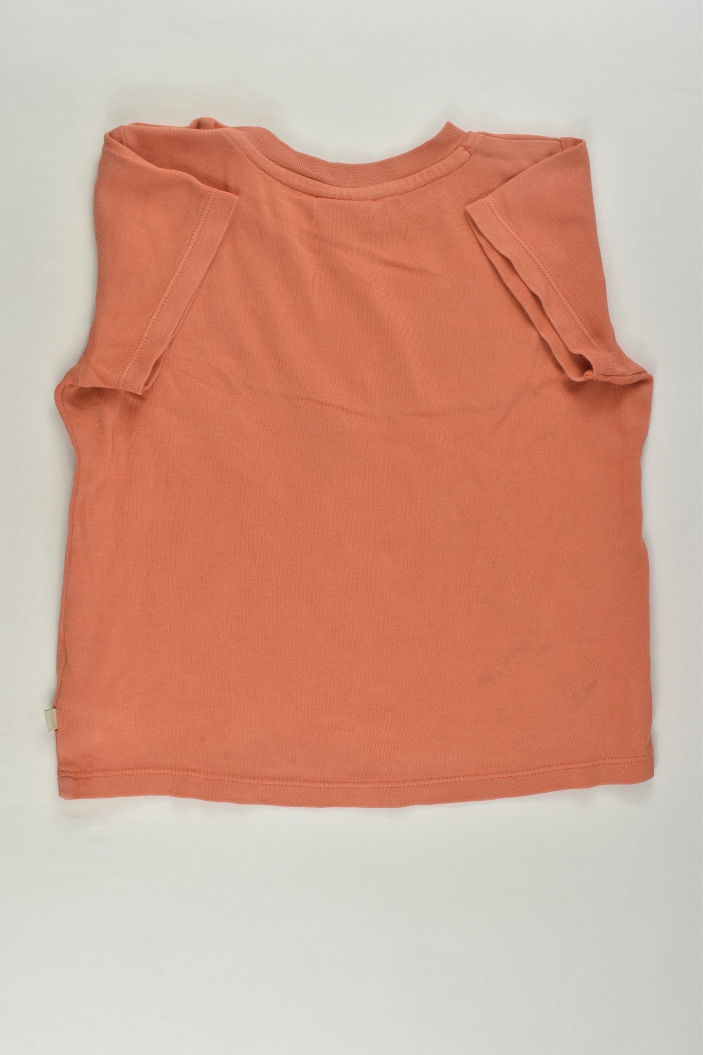 Frugi Size 2-3 Dragonfly T-shirt