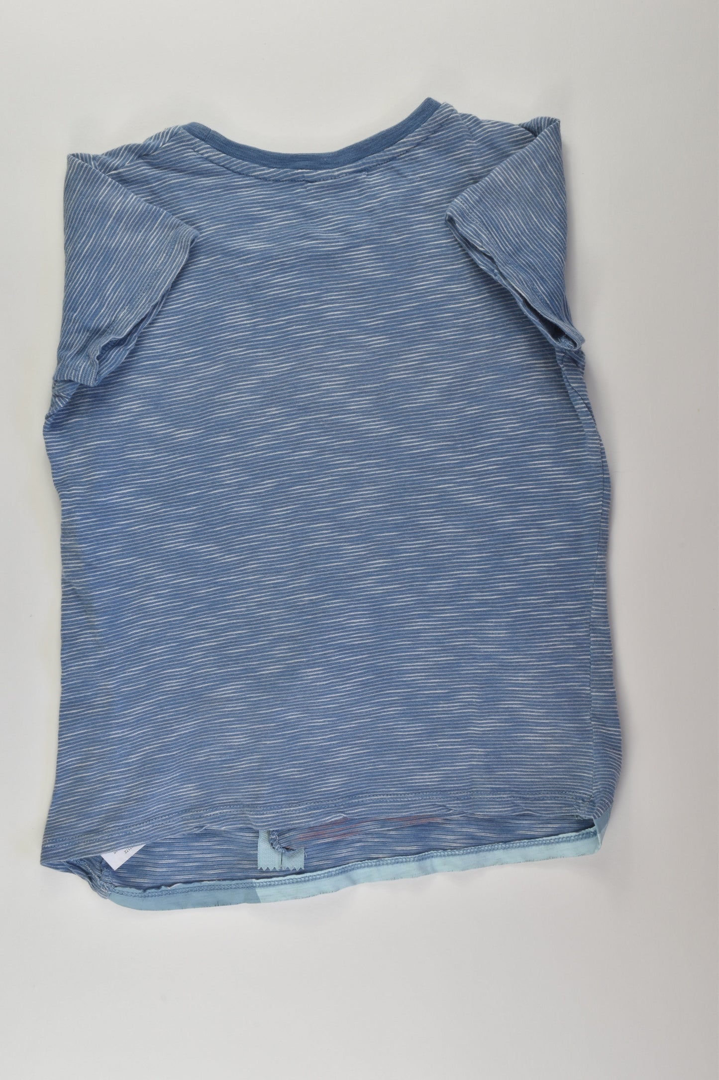 Seed Heritage Size 6 Shark T-shirt