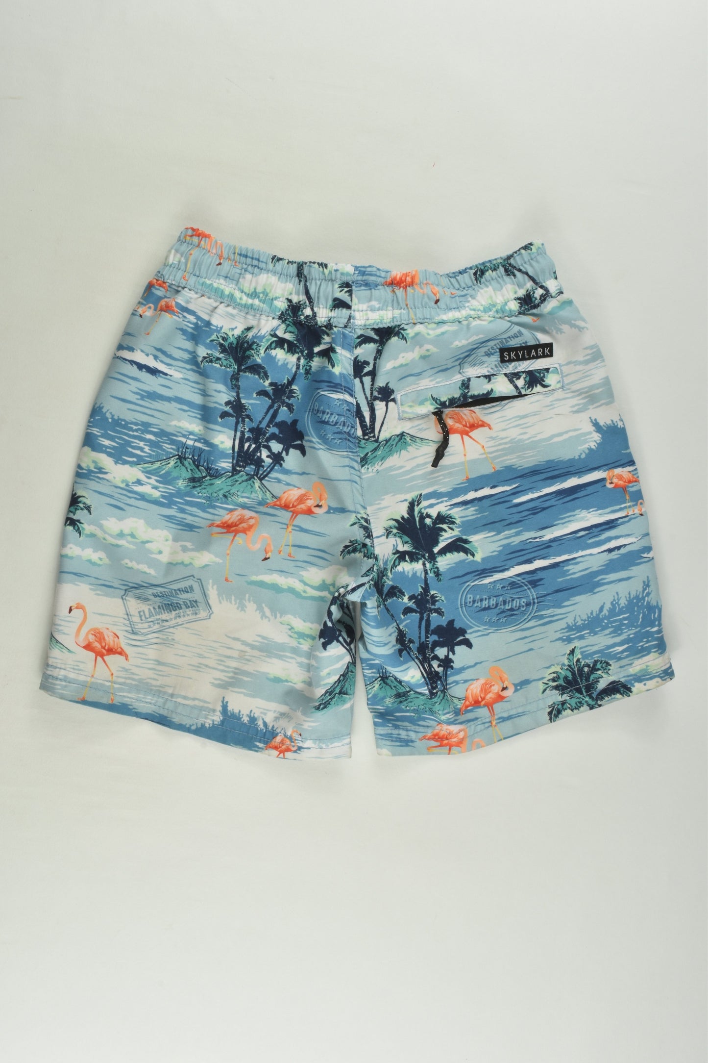 Skylark Size 6 Board Shorts