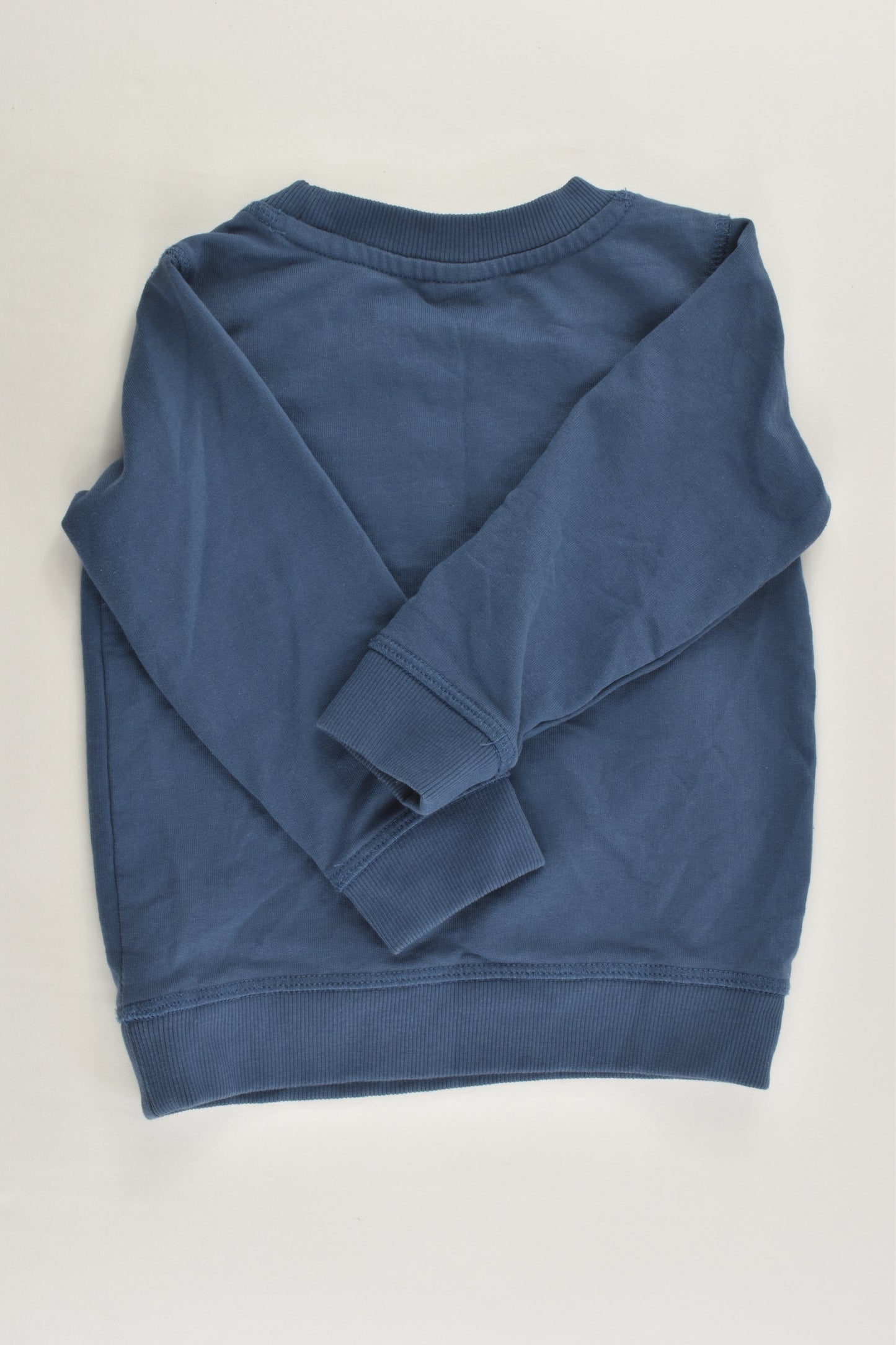 Kids & Co Size 1 (12-18 months) Lion 'Roar' Sweater