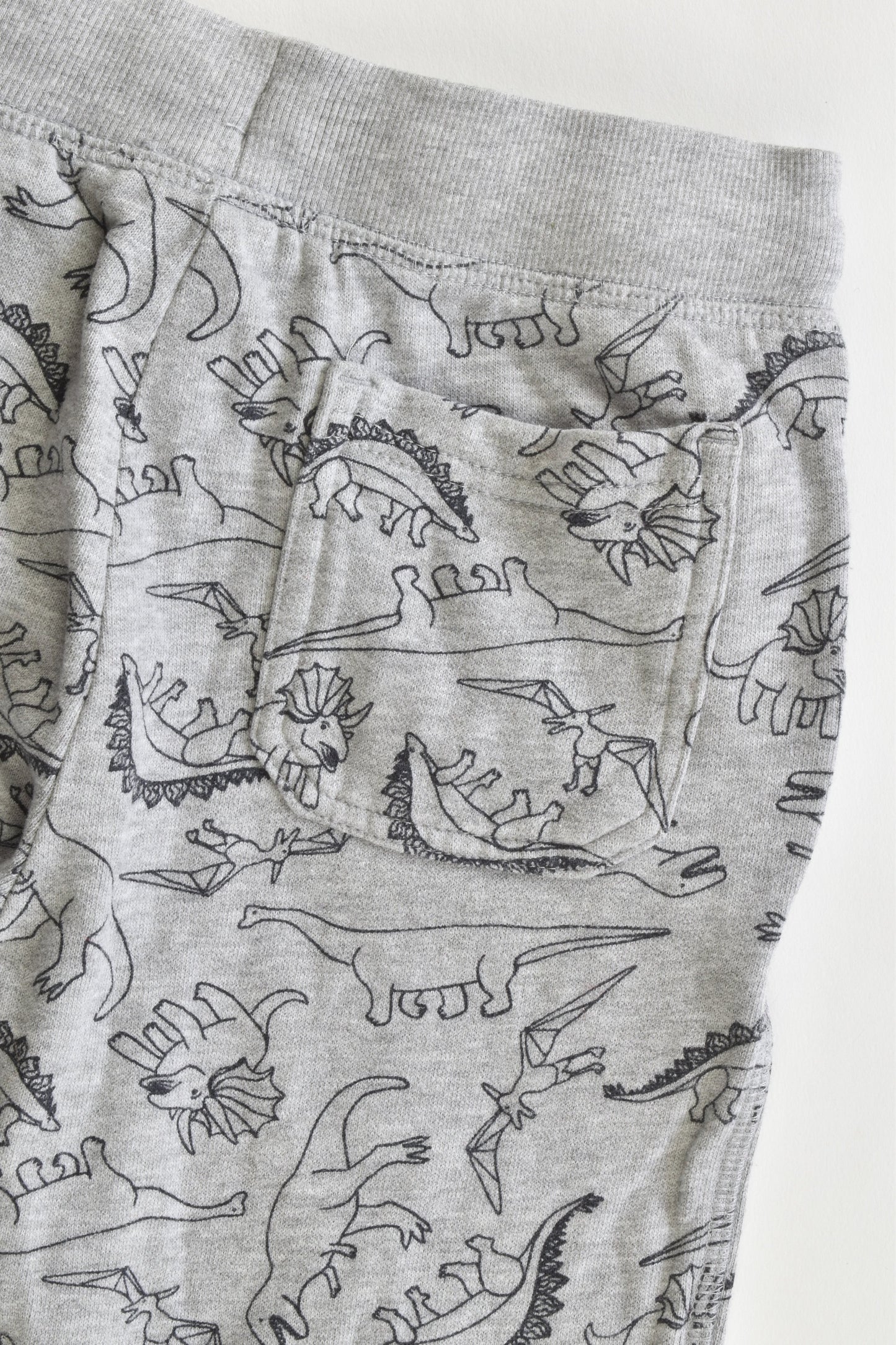 NEW Kids & Co Size 5 Dinosaur Track Pants