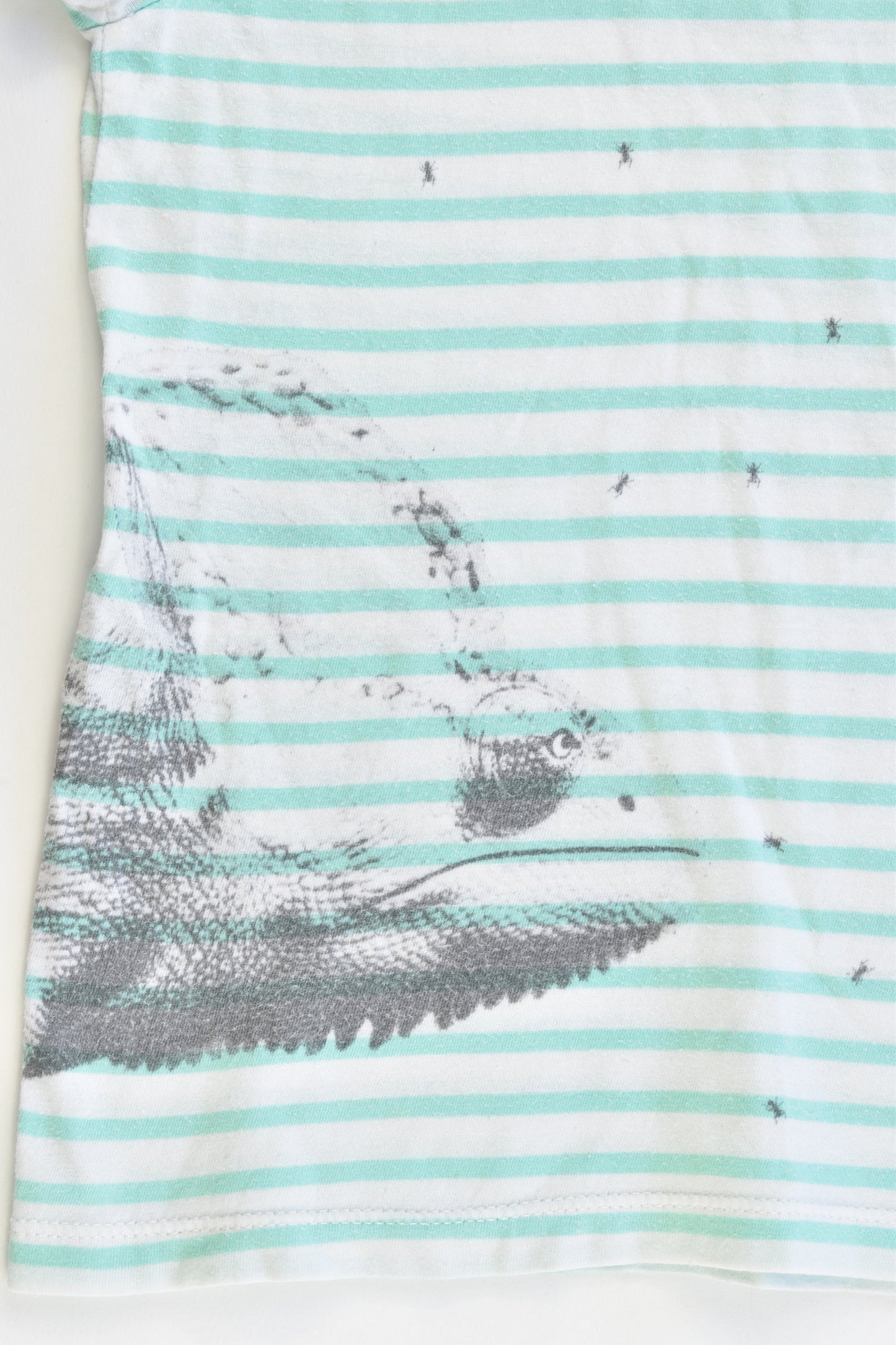 Seed Heritage Size 3-4 T-shirt