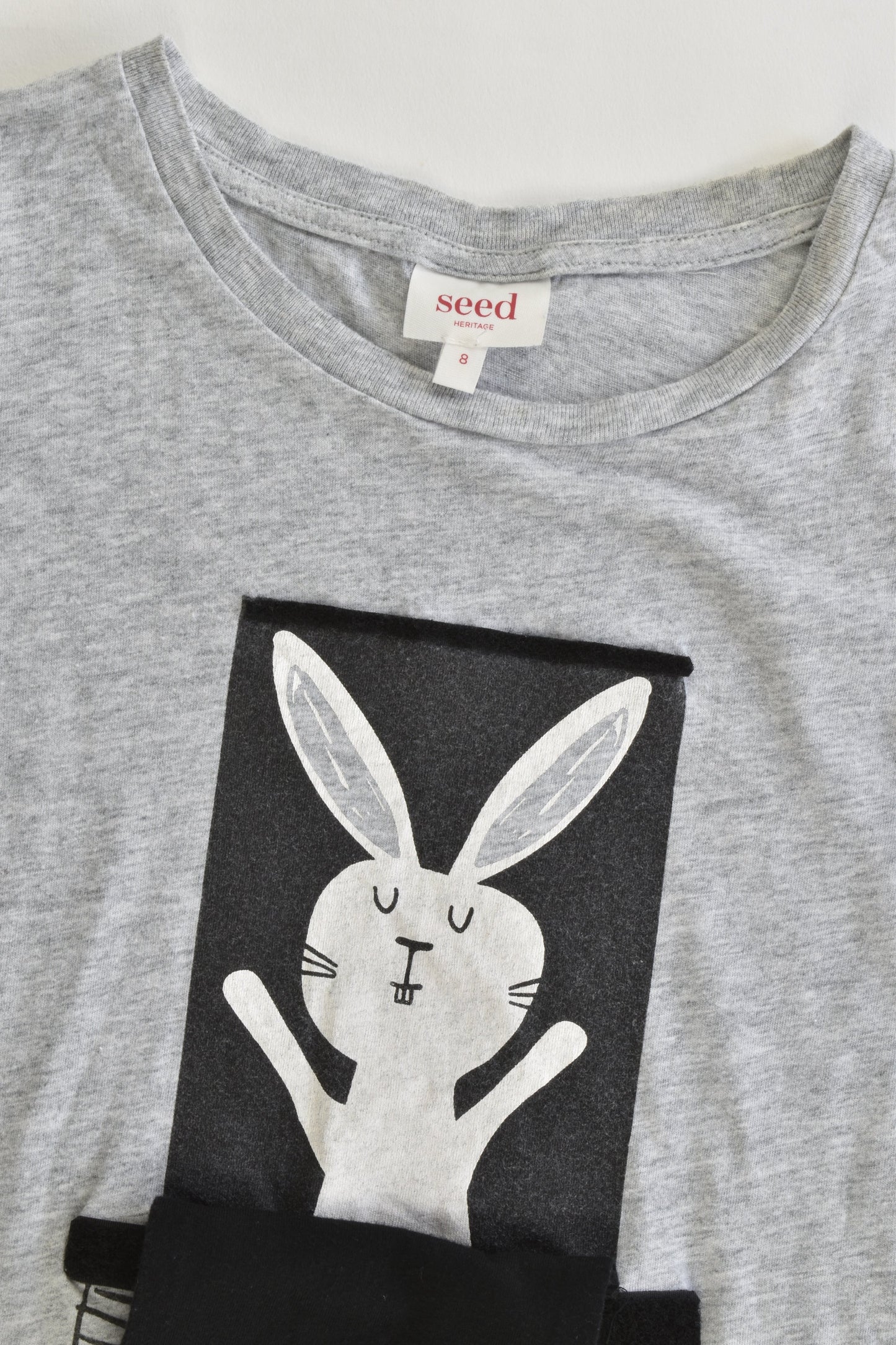 Seed Heritage Size 8 Lion and Rabbit T-shirt