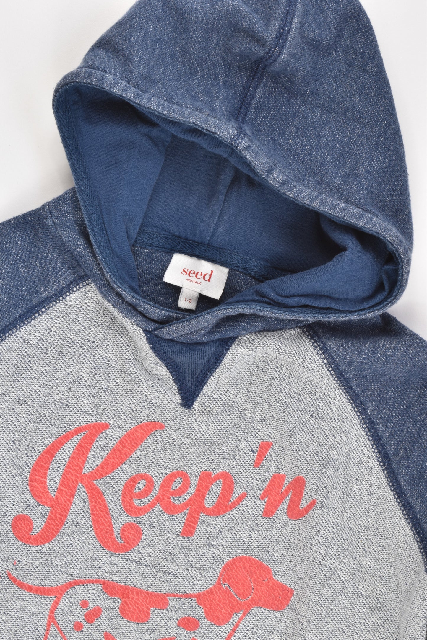 Seed Size 1-2 Hoodie