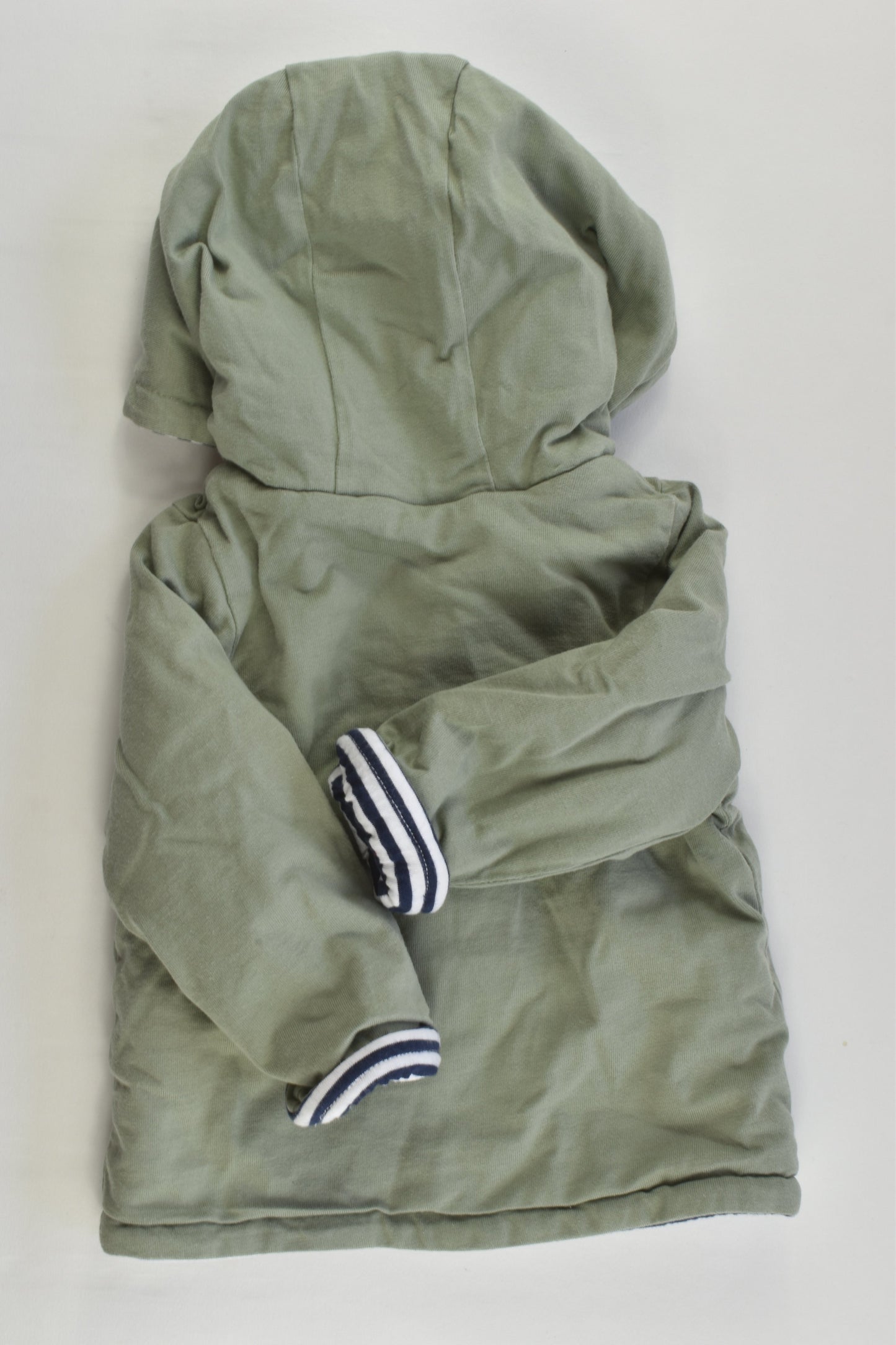 Sprout Size 00 (3-6 months) Dinosaur Padded Hooded Jumper