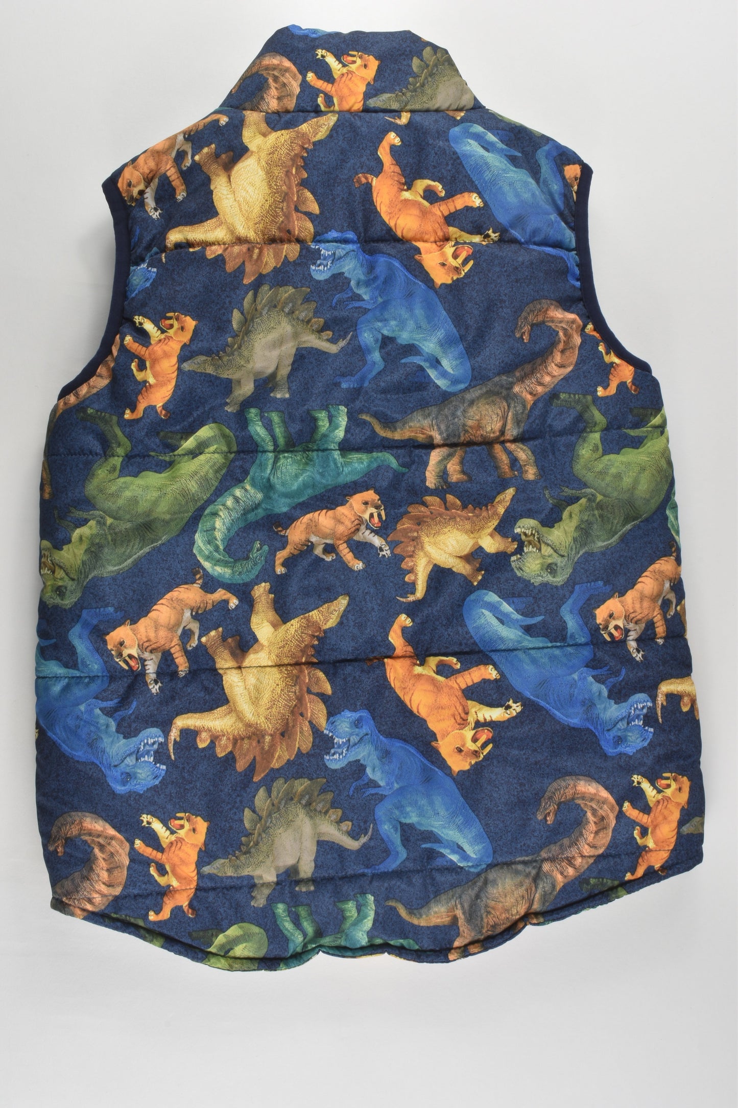 Target Size 5 Dinosaurs Puffer Vest