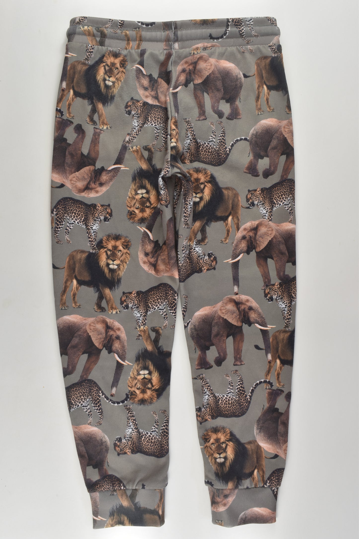 Bonds Size 5 Safari Animals Track Pants