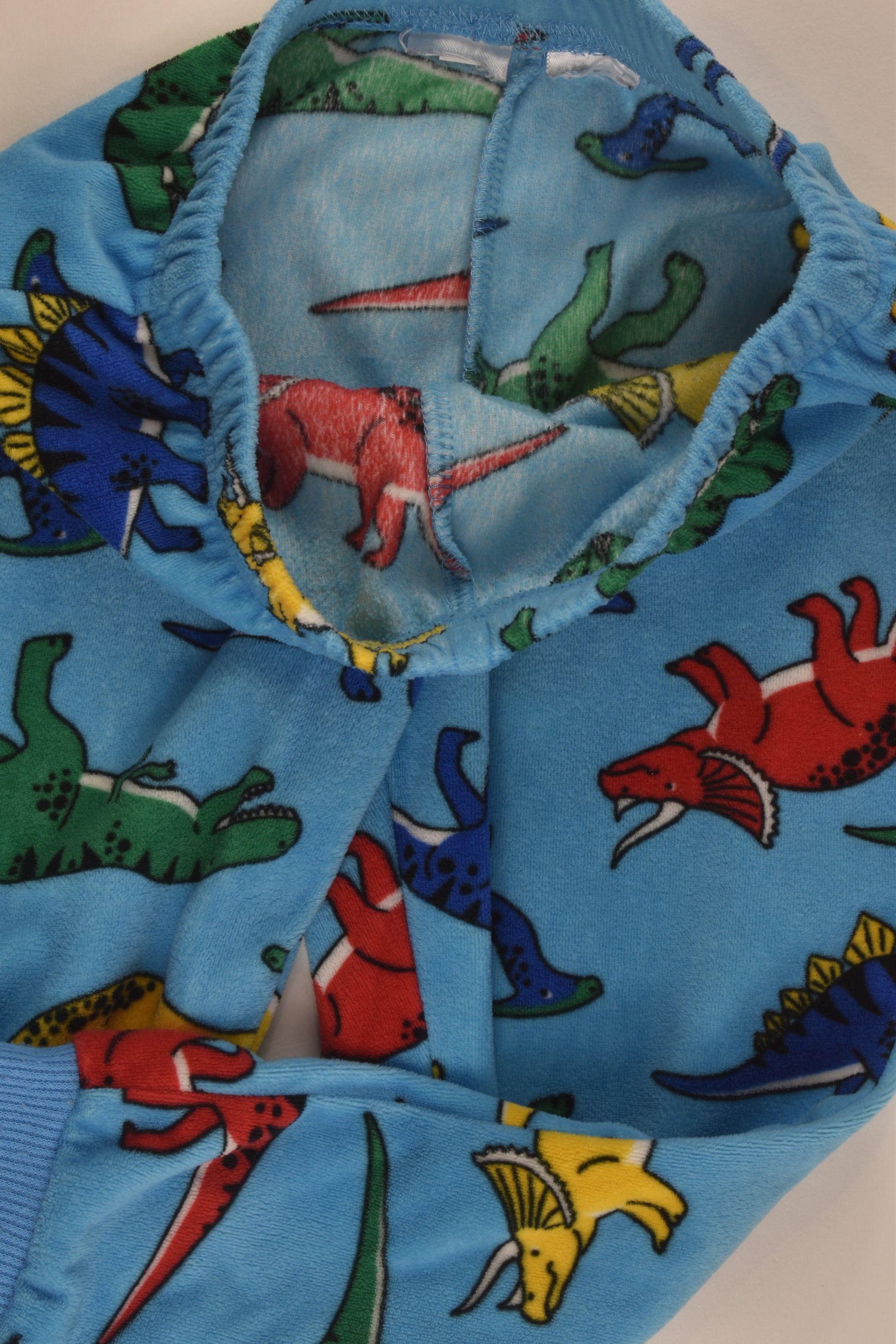 Brand Unknown Size 2 Dinosaur Fleece Pants