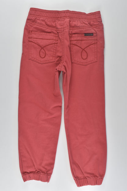 Calvin Klein Jeans Size 4 Pants