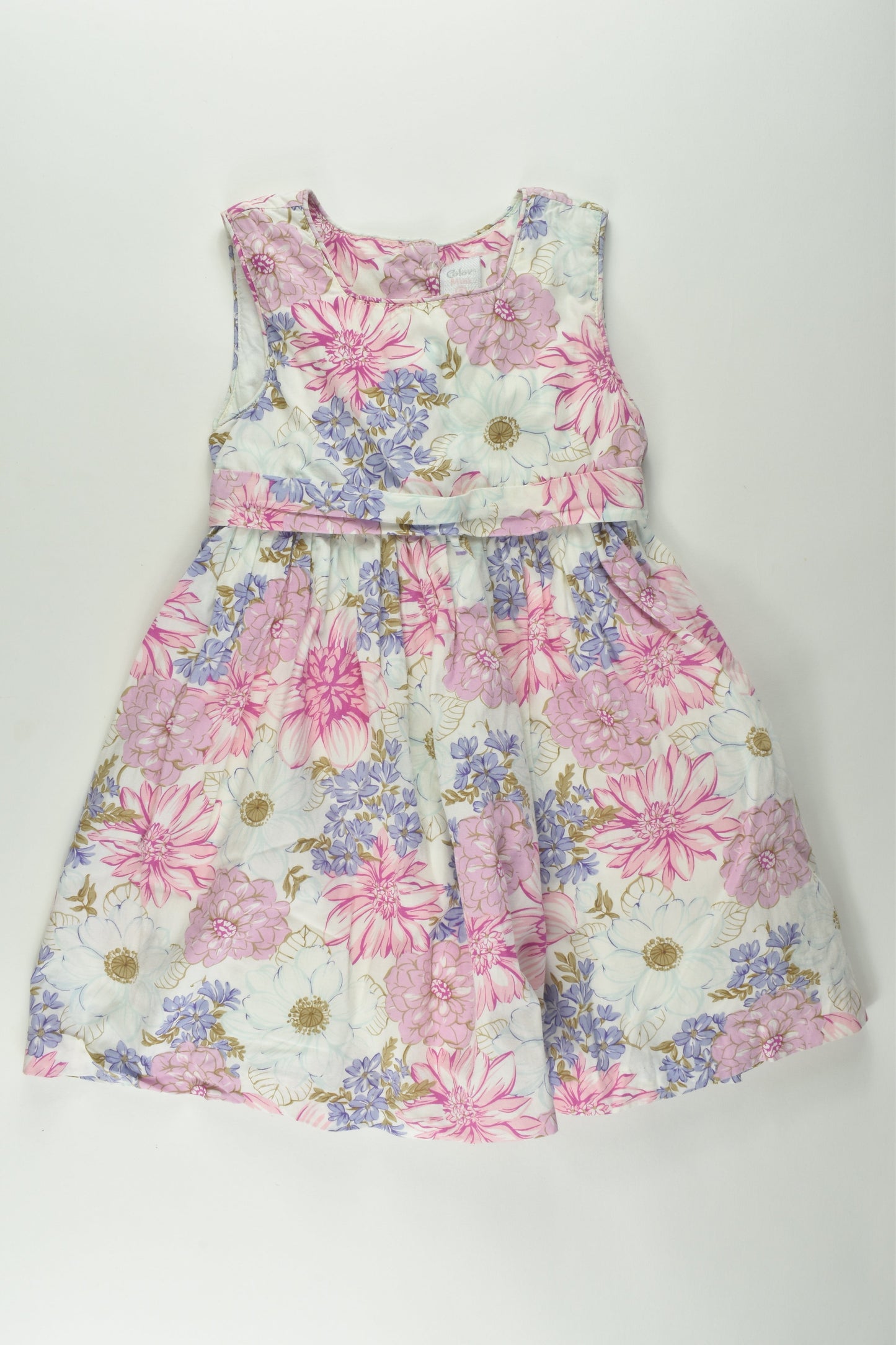 Color Mini Size 4 Lined Floral Dress