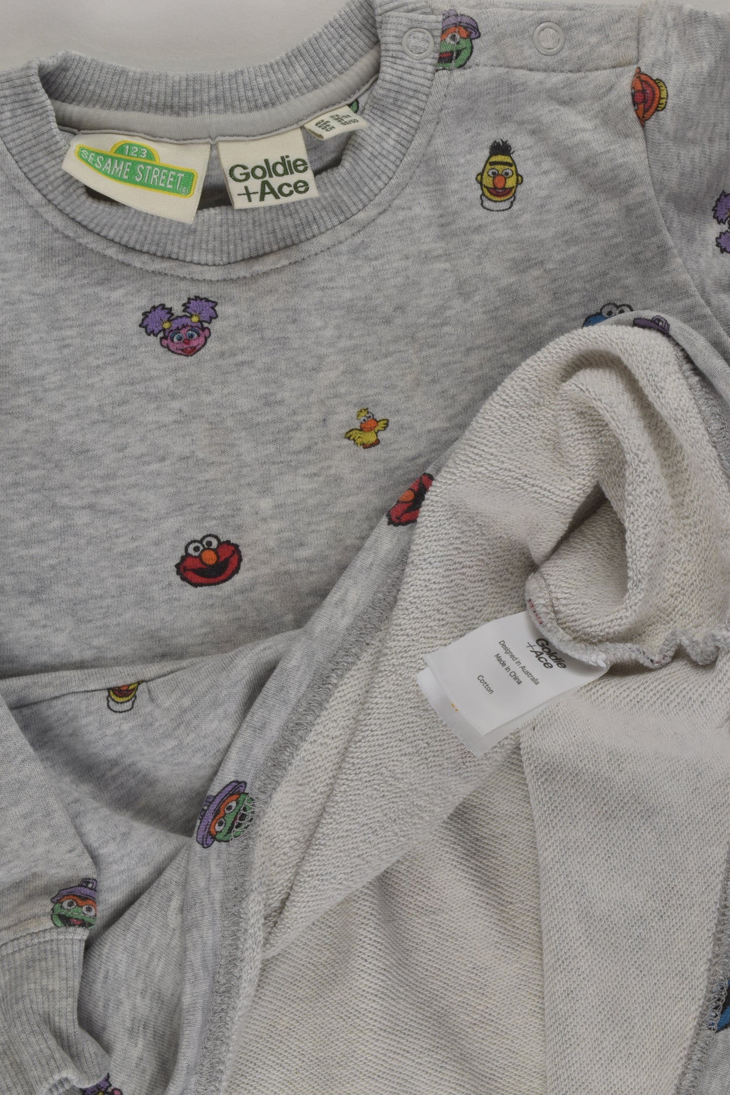 Goldie + Ace Size 2 Sesame Street Dress
