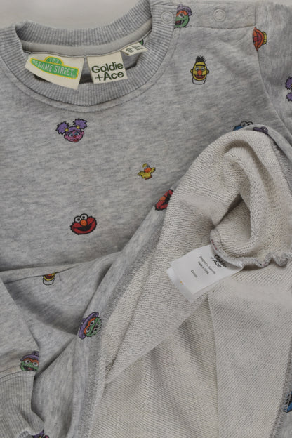 Goldie + Ace Size 2 Sesame Street Dress