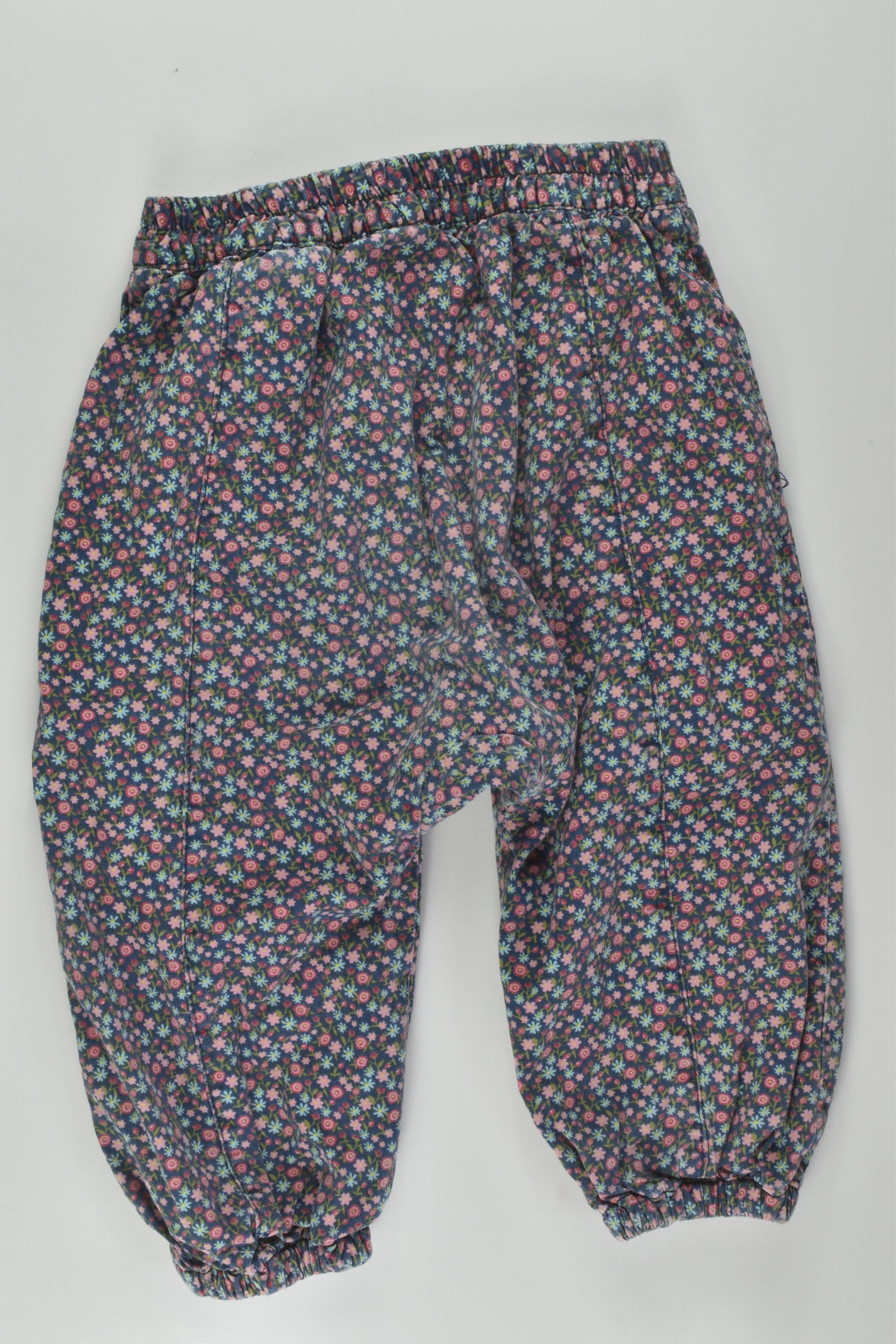 H&M Size 1 Lined Floral Pants