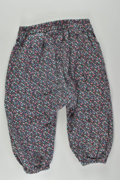 H&M Size 1 Lined Floral Pants