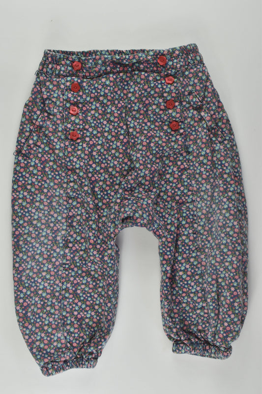 H&M Size 1 Lined Floral Pants