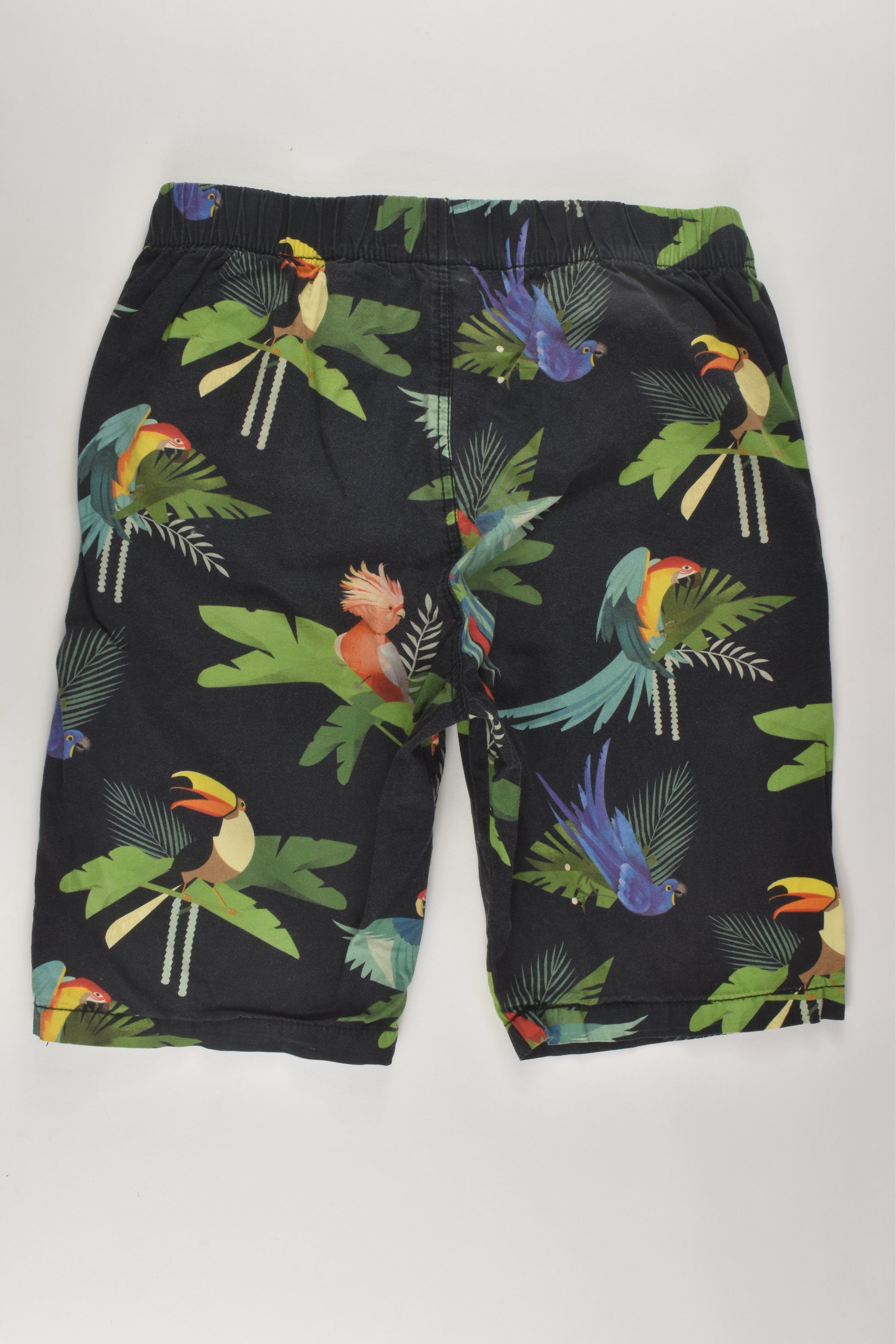 H&M Size 10 Parrot Shorts