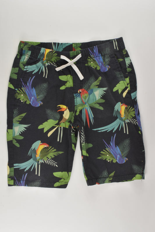 H&M Size 10 Parrot Shorts