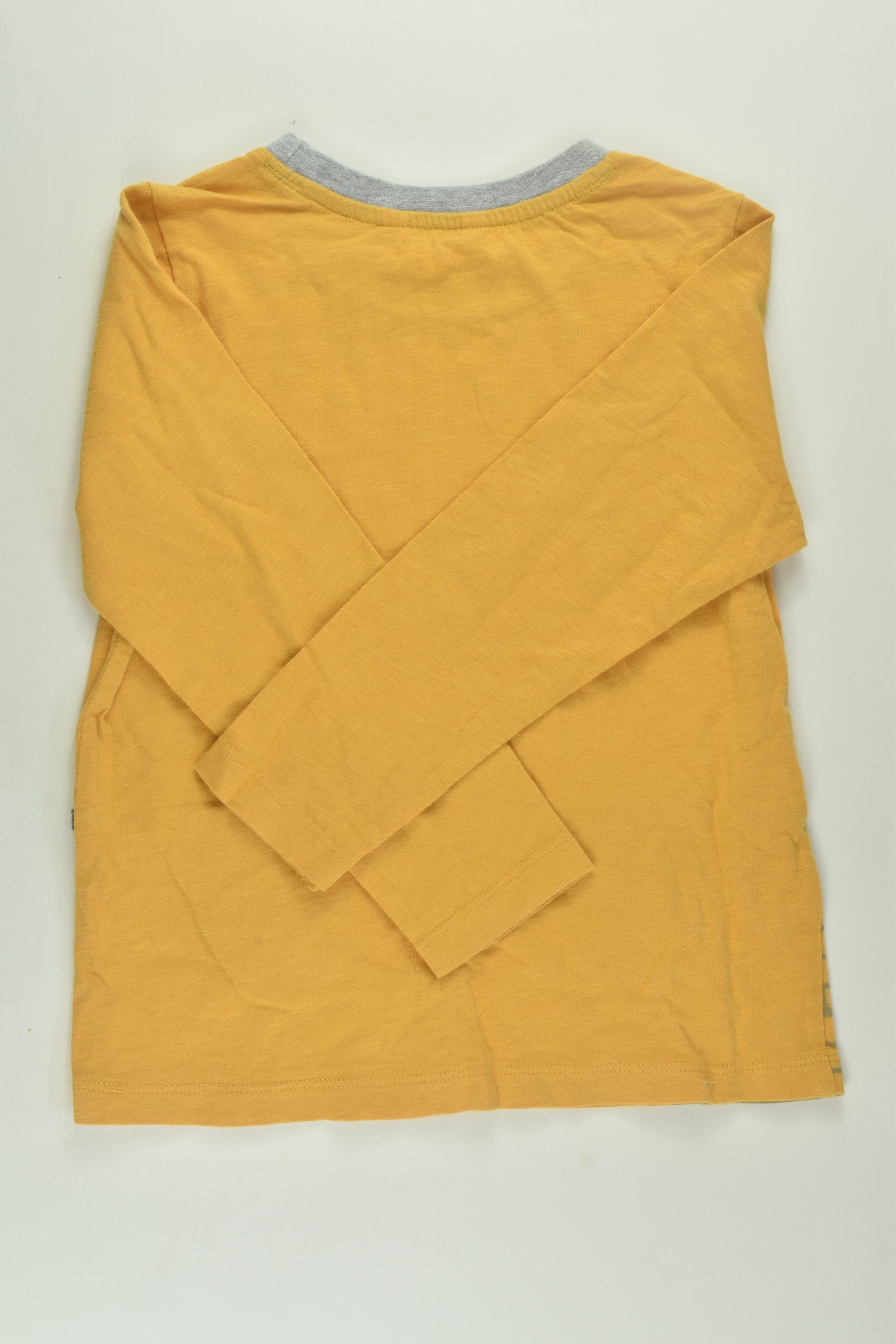 Milkshake Size 4 Dinosaur Top