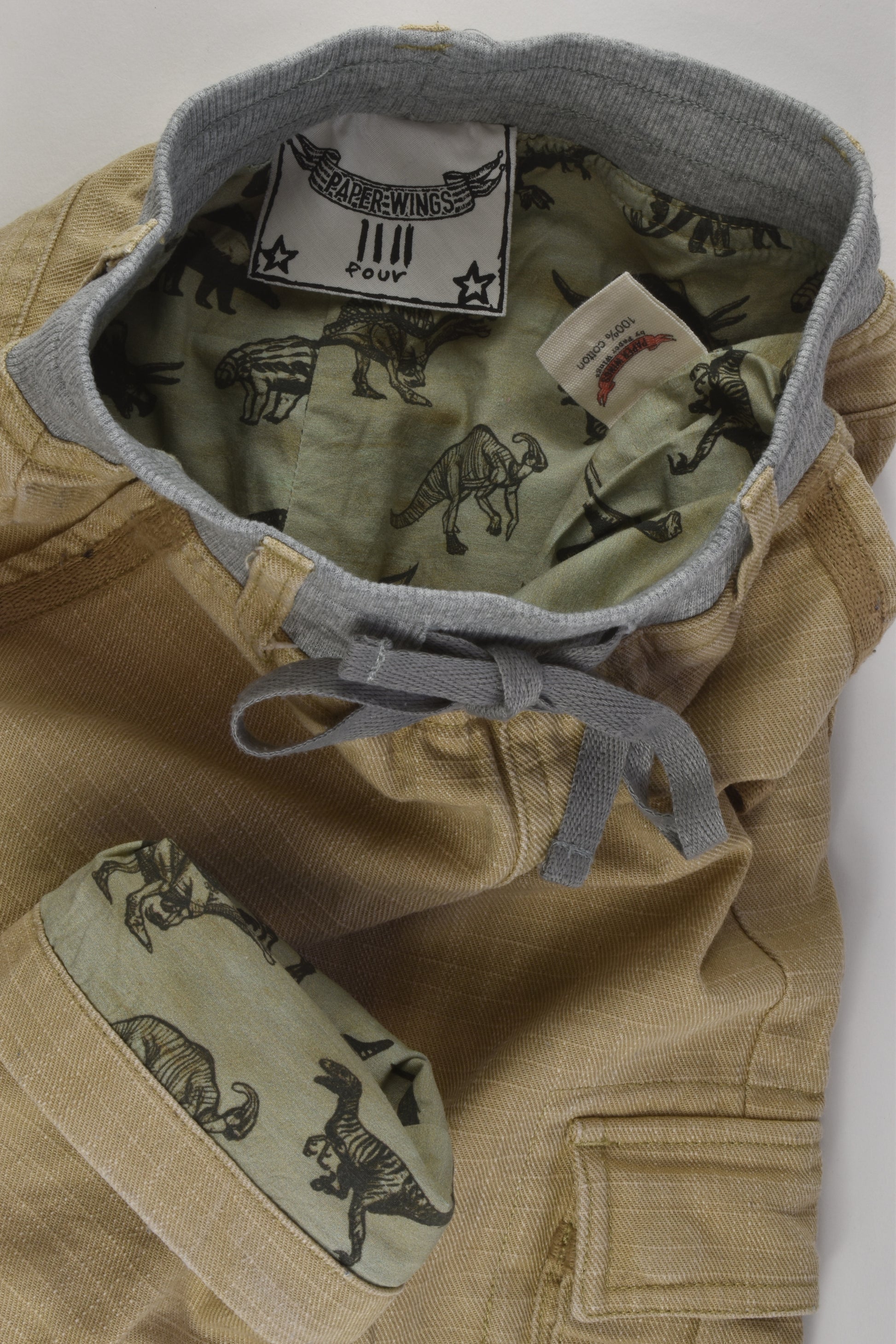 Paper Wings Size 4 Dinosaur Lined Pants