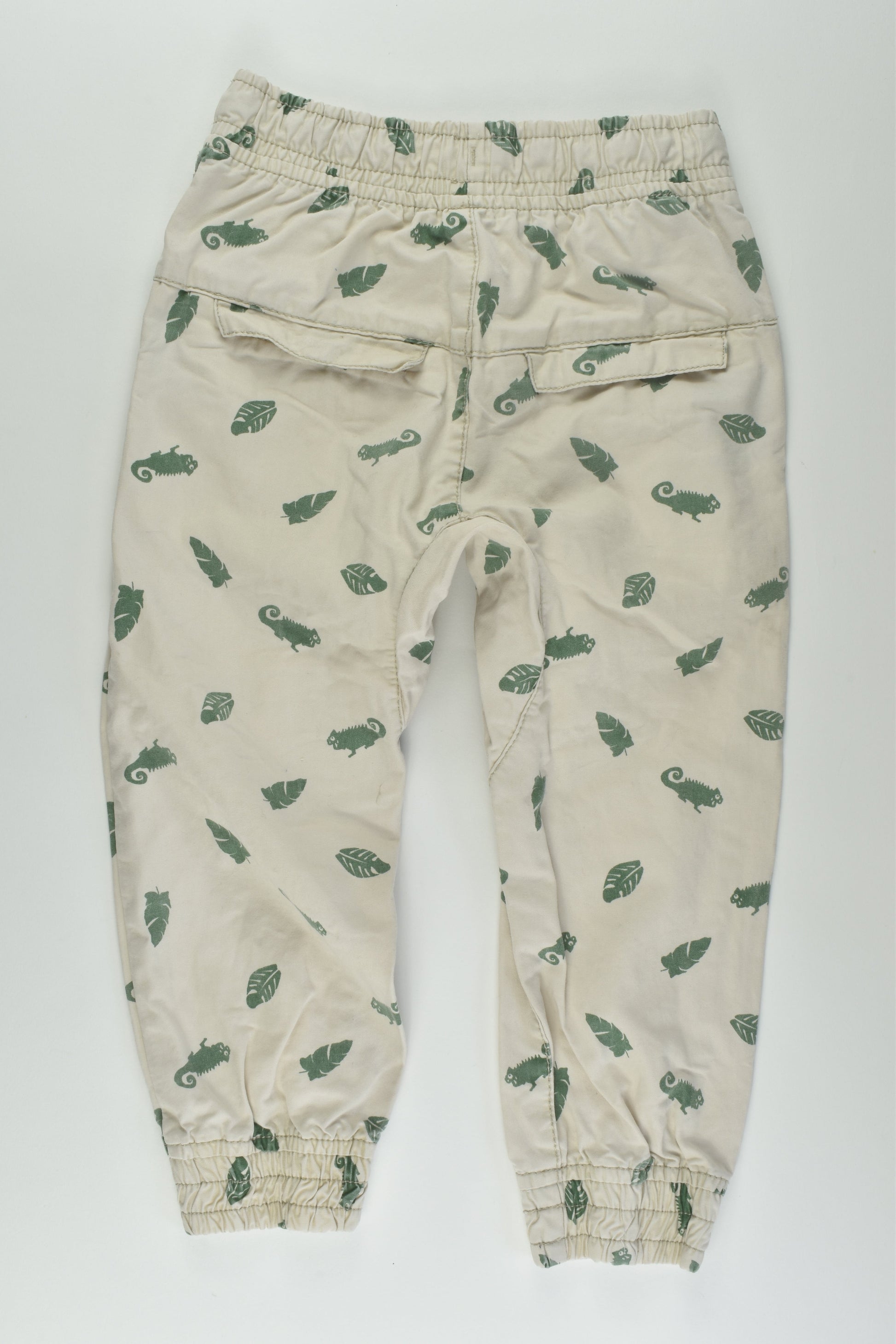 Pumpkin Patch Size 3 Chameleon Pants