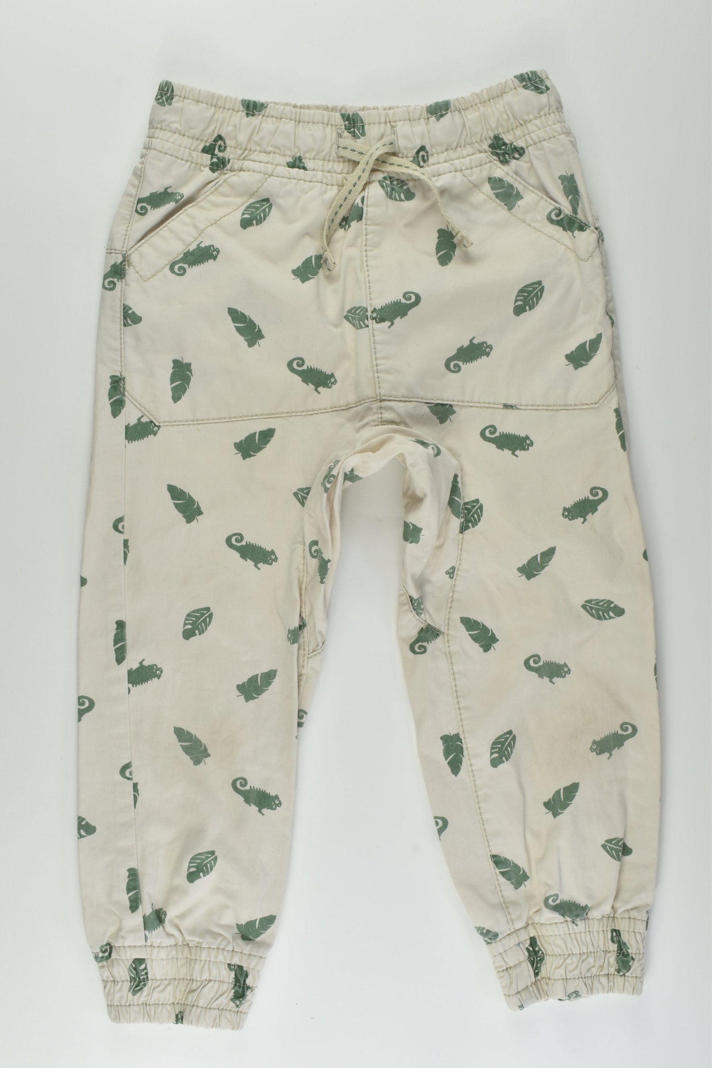 Pumpkin Patch Size 3 Chameleon Pants