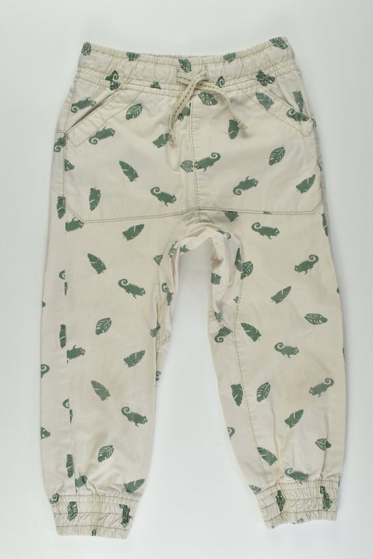 Pumpkin Patch Size 3 Chameleon Pants