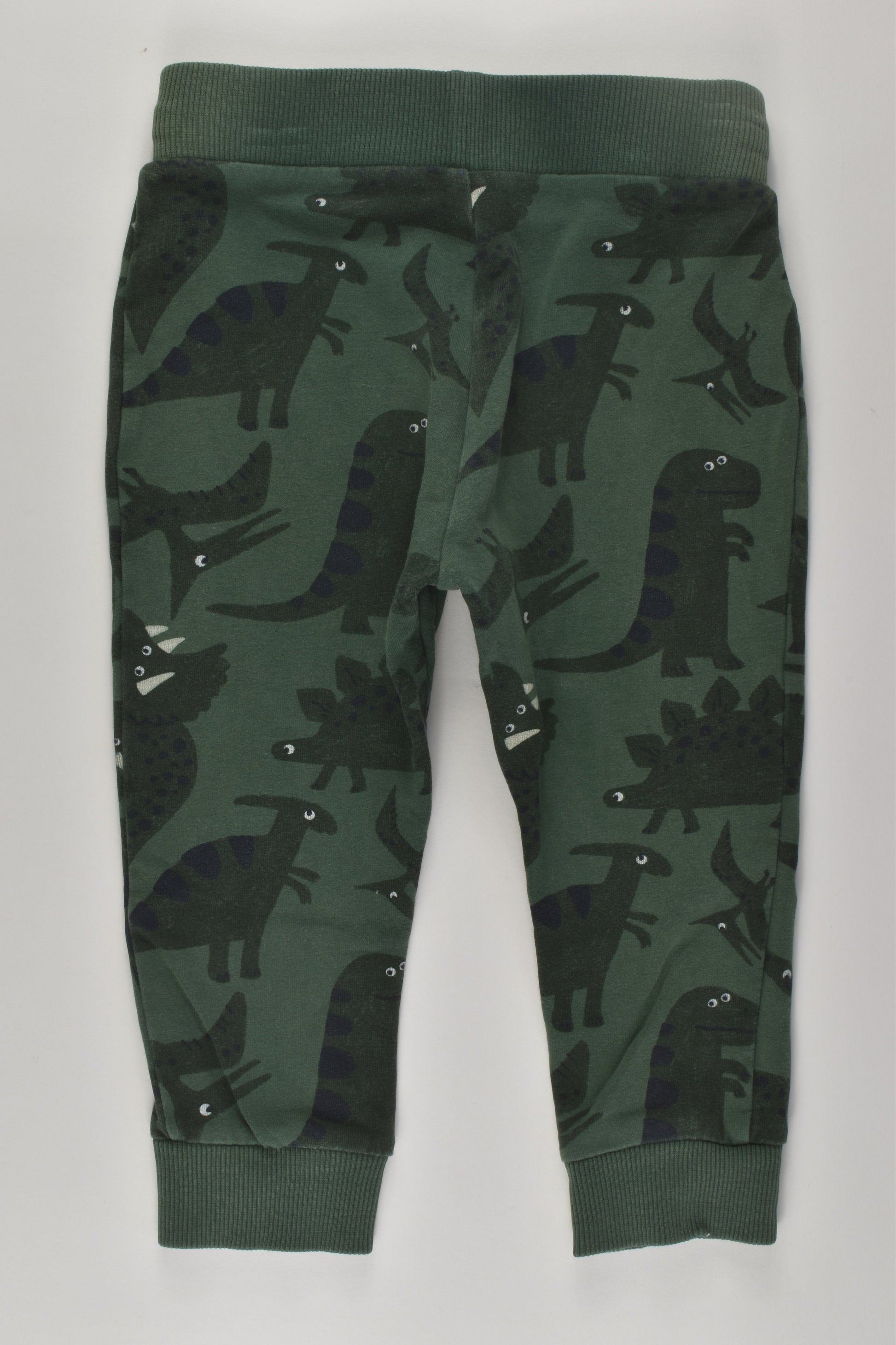 Target Size 1 Dinosaur Track Pants