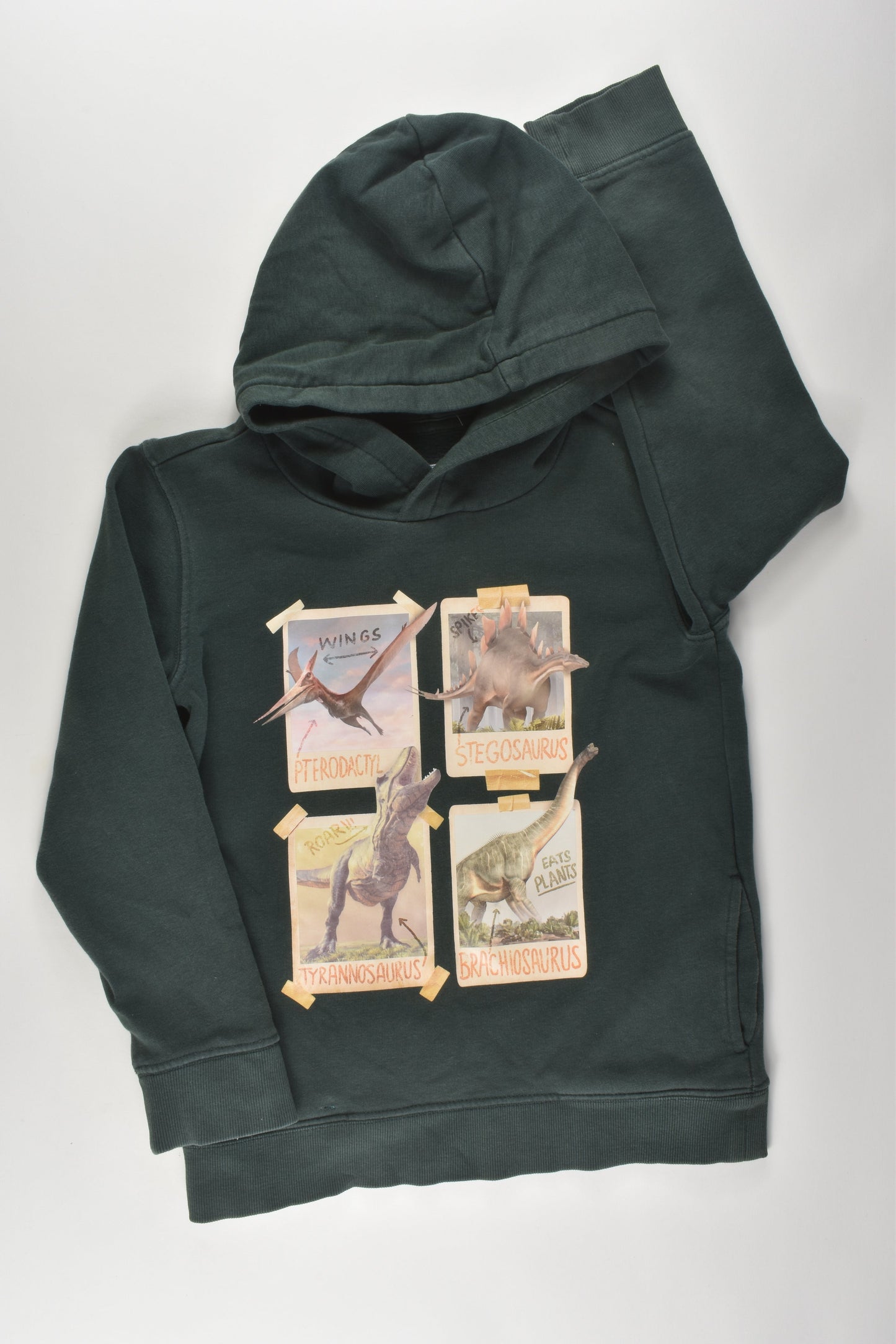 Target Size 7 Dinosaur Jumper