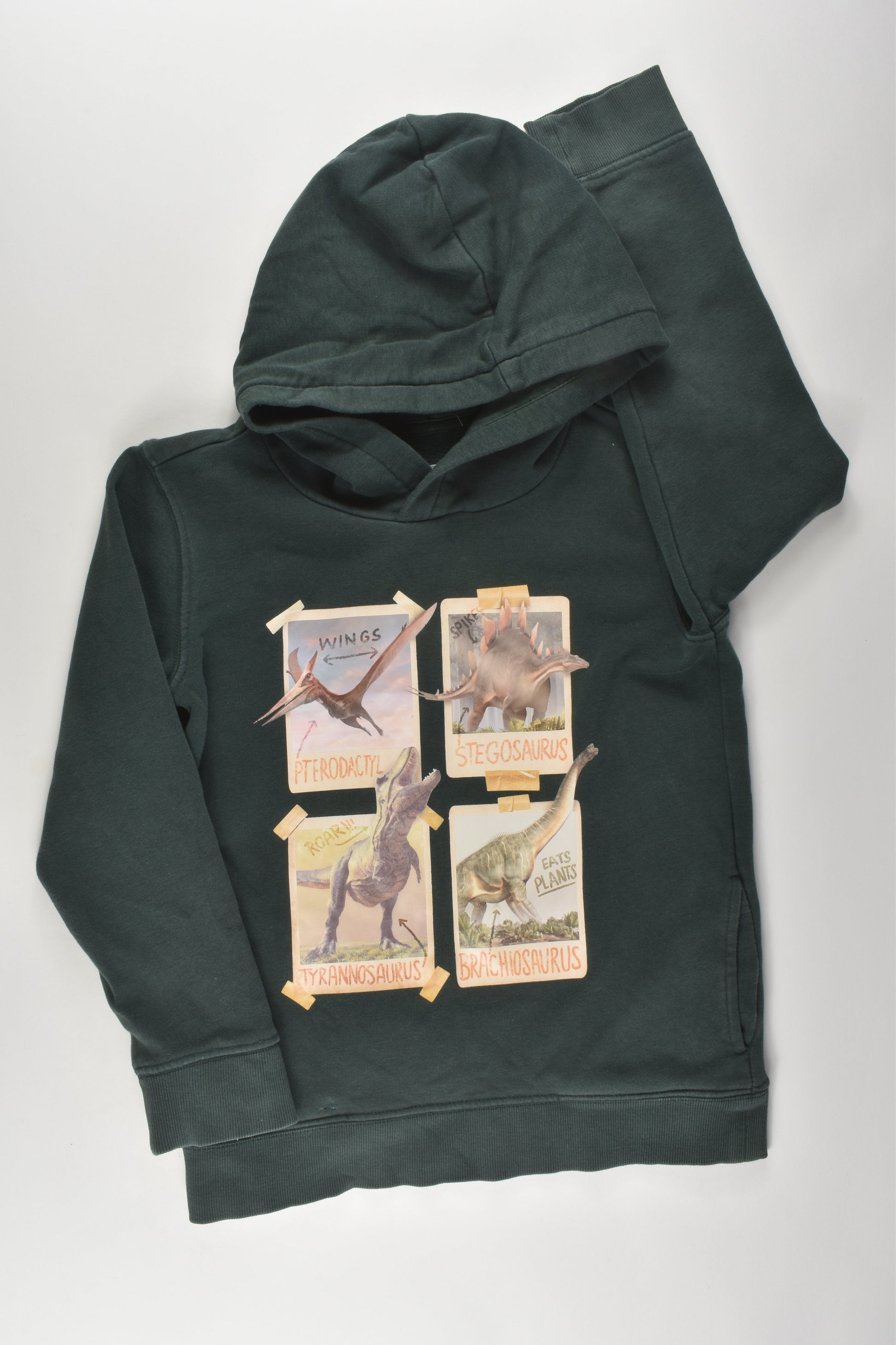 Target Size 7 Dinosaur Jumper