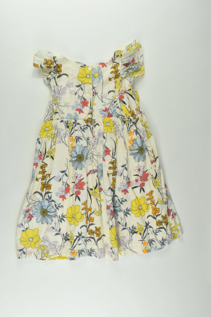 Baby Gap Size 4 Lined Floral Dress