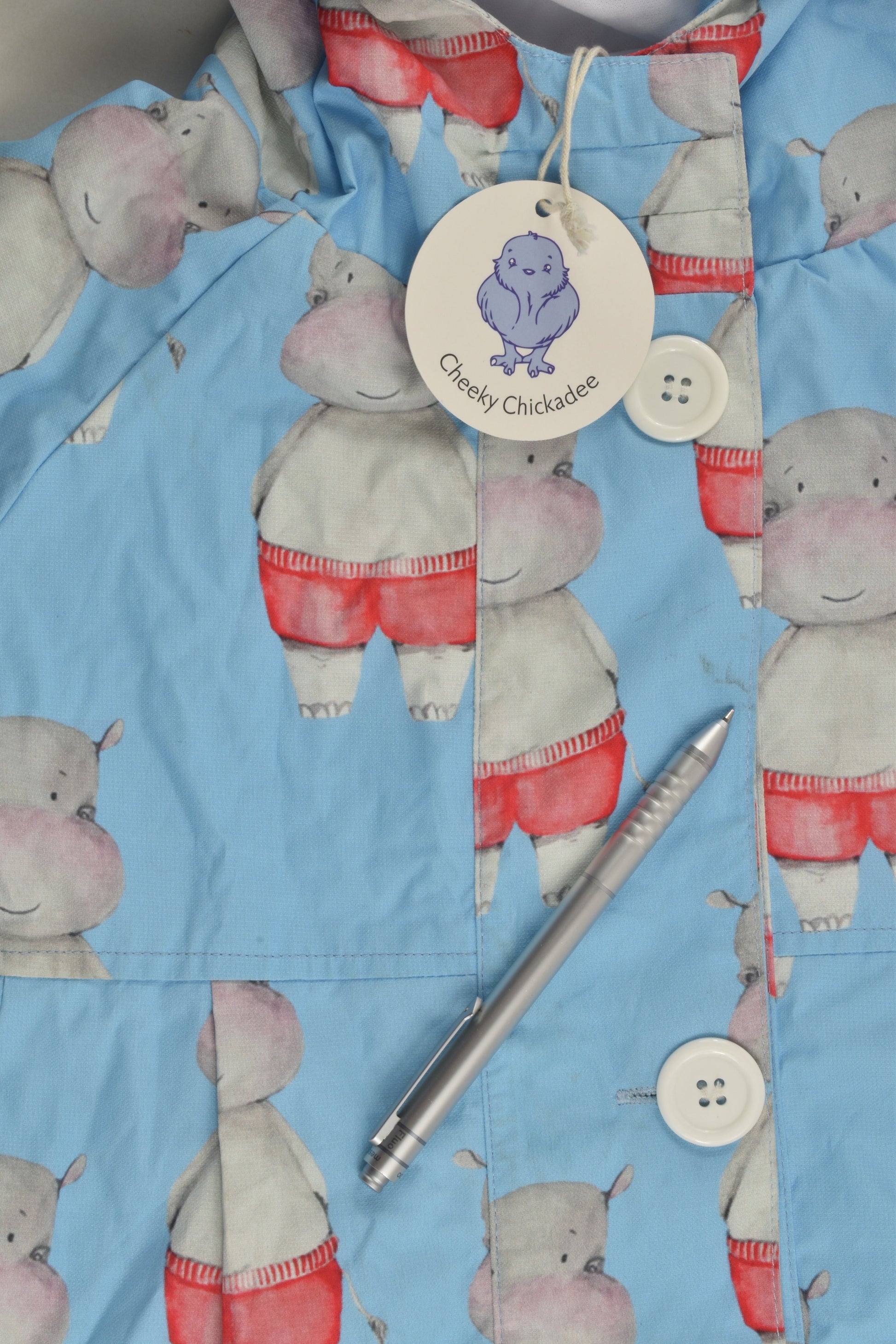 Cheeky Chickadee Size 5-6 Raincoat