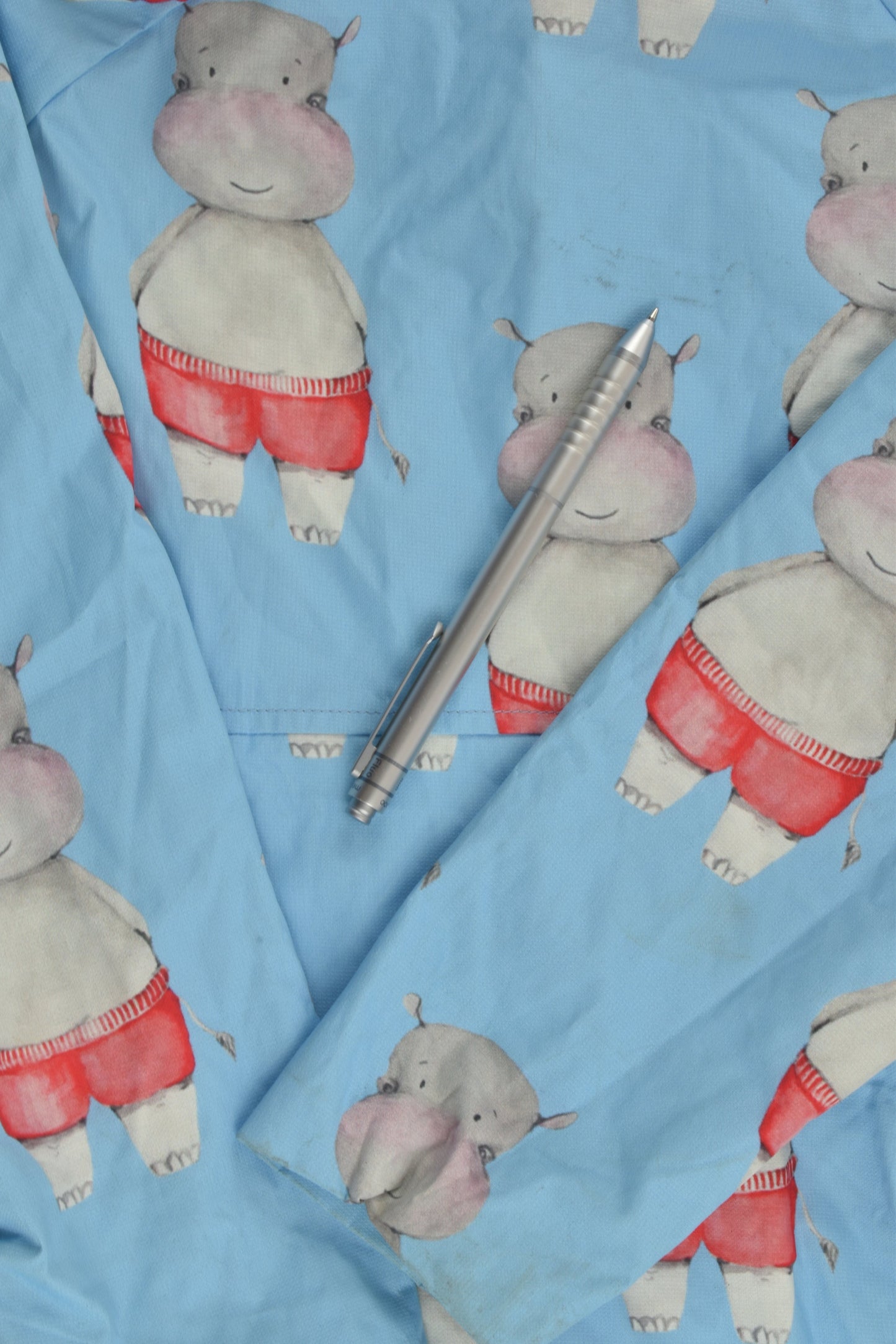 Cheeky Chickadee Size 5-6 Raincoat