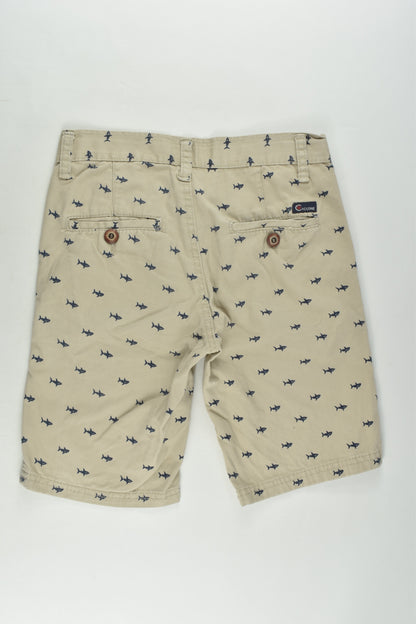 Cyclone Size 10 Shark Shorts
