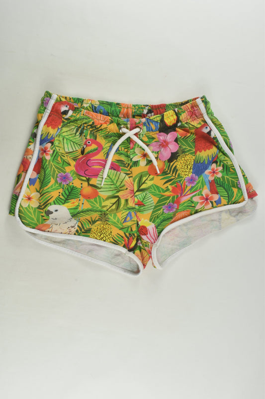 Emma Jayne for H&M Size 13 Shorts