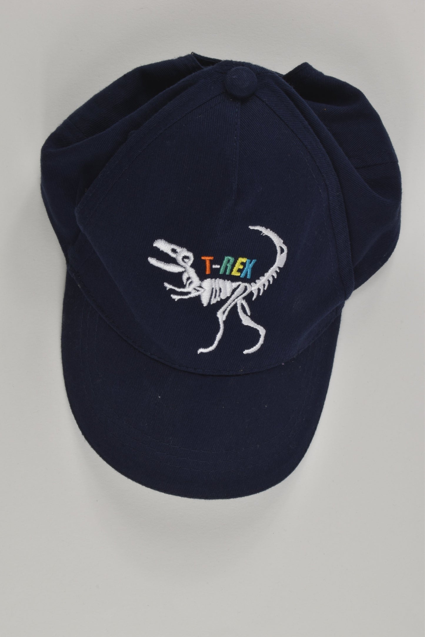F&F Size 3-6 T-Rex Cap