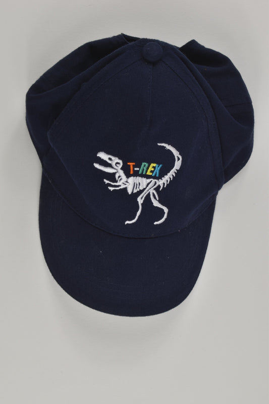 F&F Size 3-6 T-Rex Cap