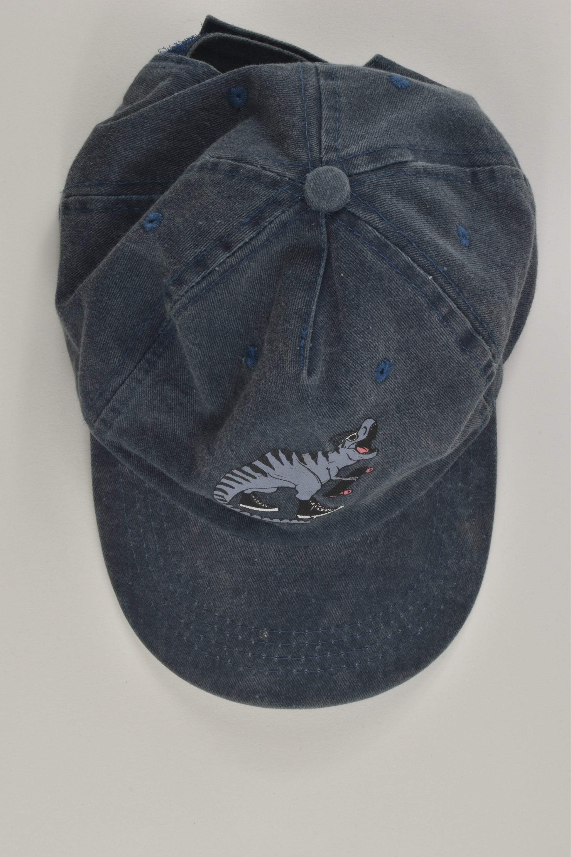 F&F Size 3-6 T-Rex and Skateboard Cap