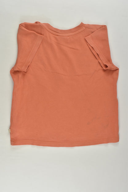 Frugi Size 2-3 Dragonfly T-shirt