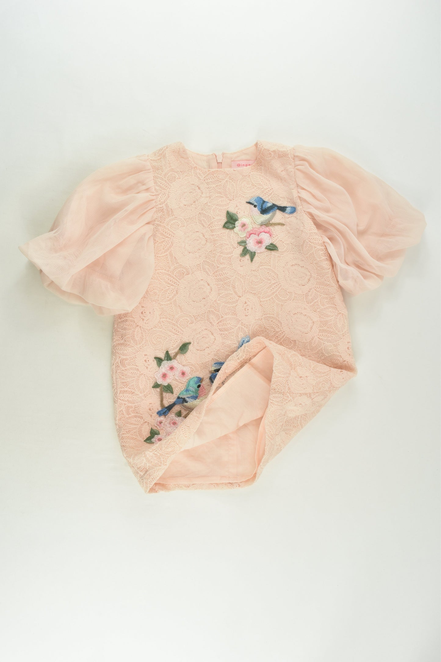 Gingersnaps Size 2 Lined Bird Dress