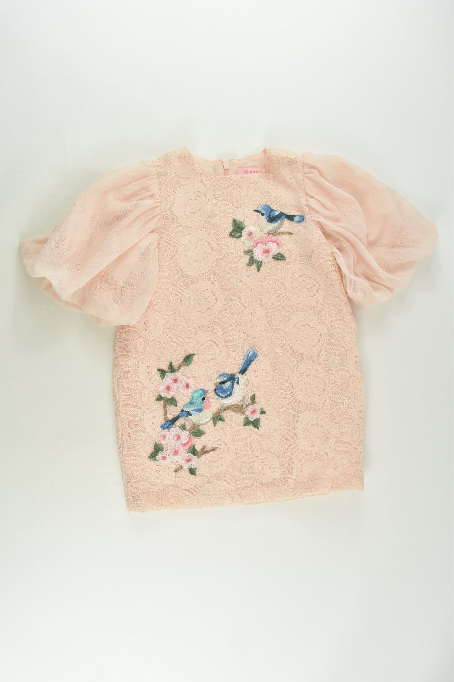 Gingersnaps Size 2 Lined Bird Dress