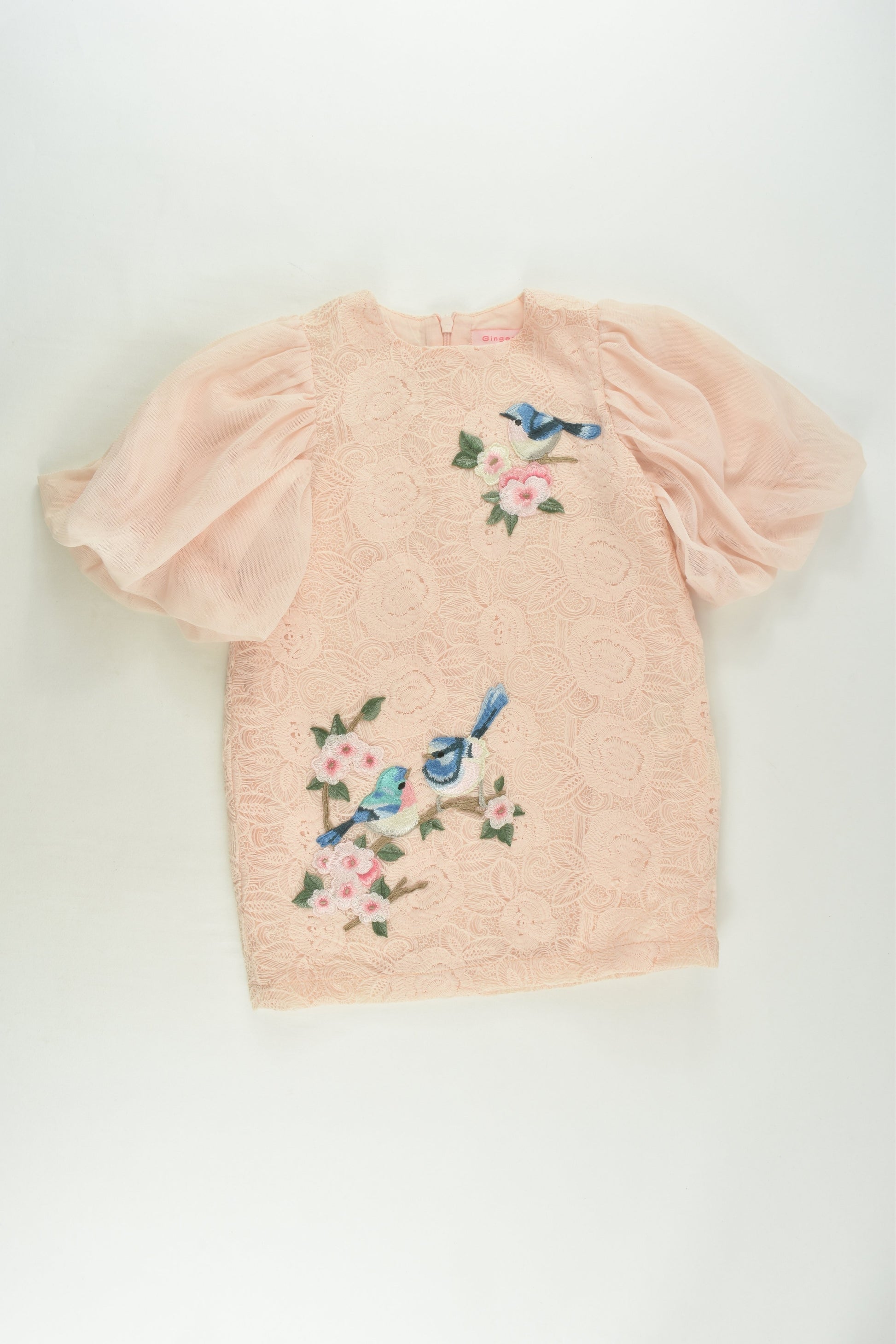 Gingersnaps Size 2 Lined Bird Dress