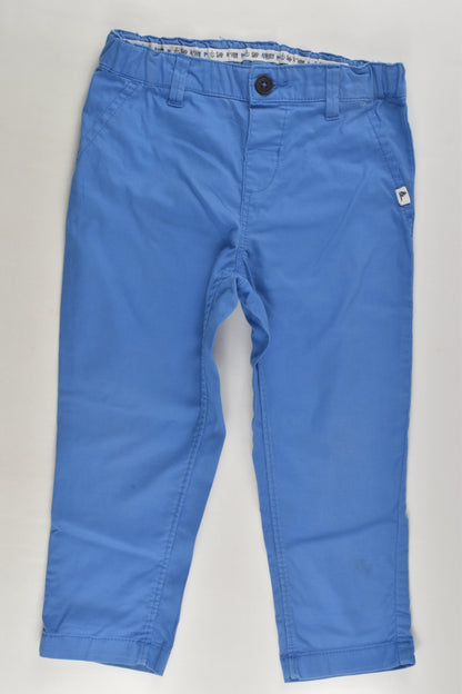 H&M Size 2 Pants